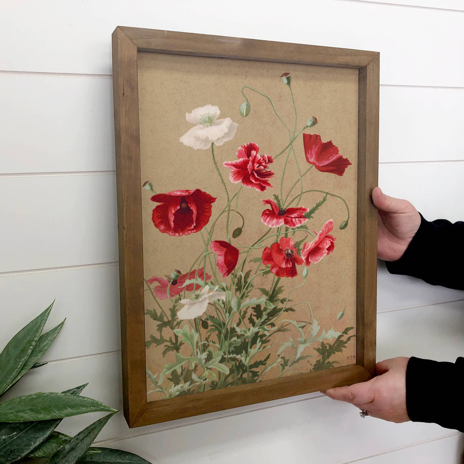 Poppies on Kraft - Nature Wall Art - Farmhouse Living Room