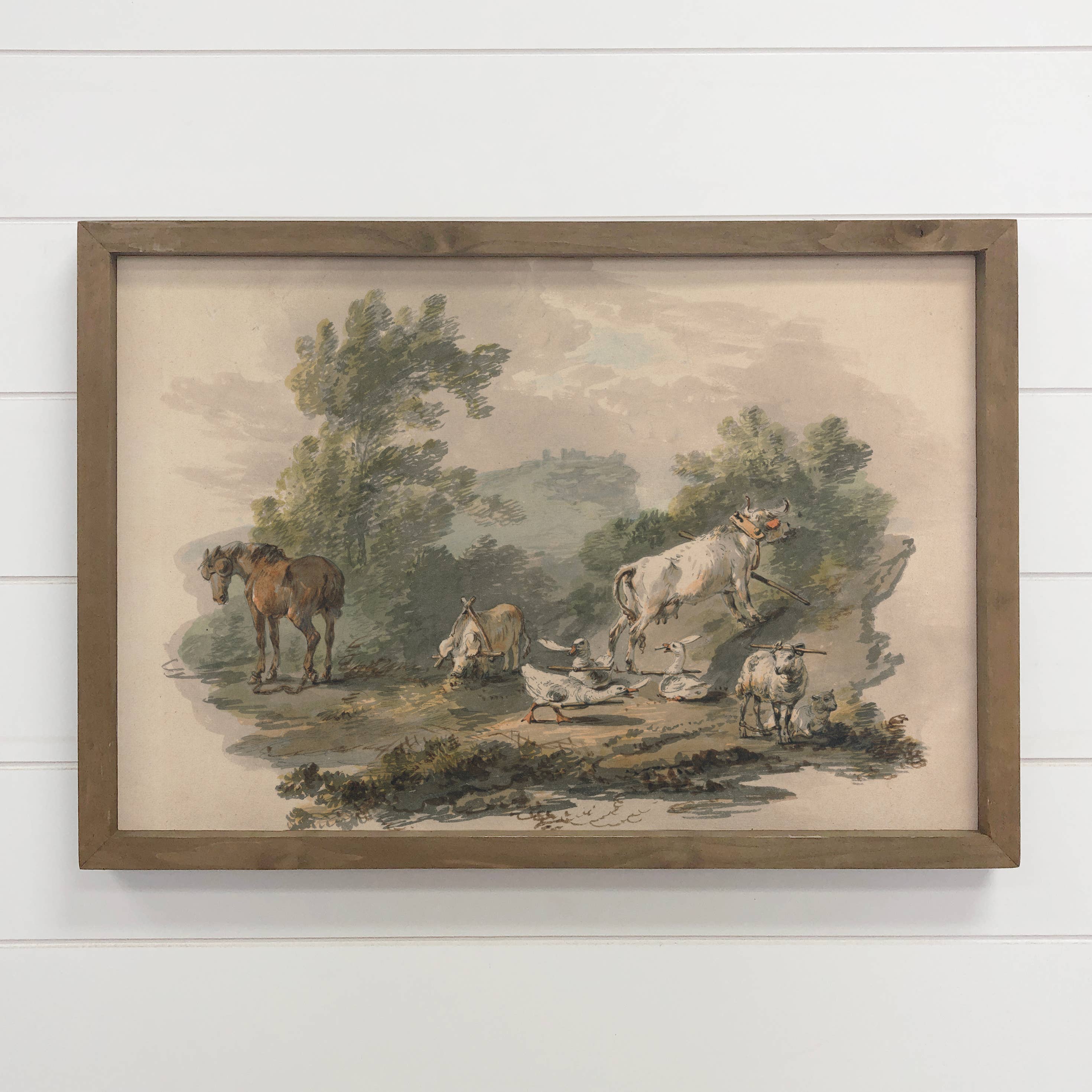 Farmyard Animals - Farmhouse Canvas Art - Wood Framed Art