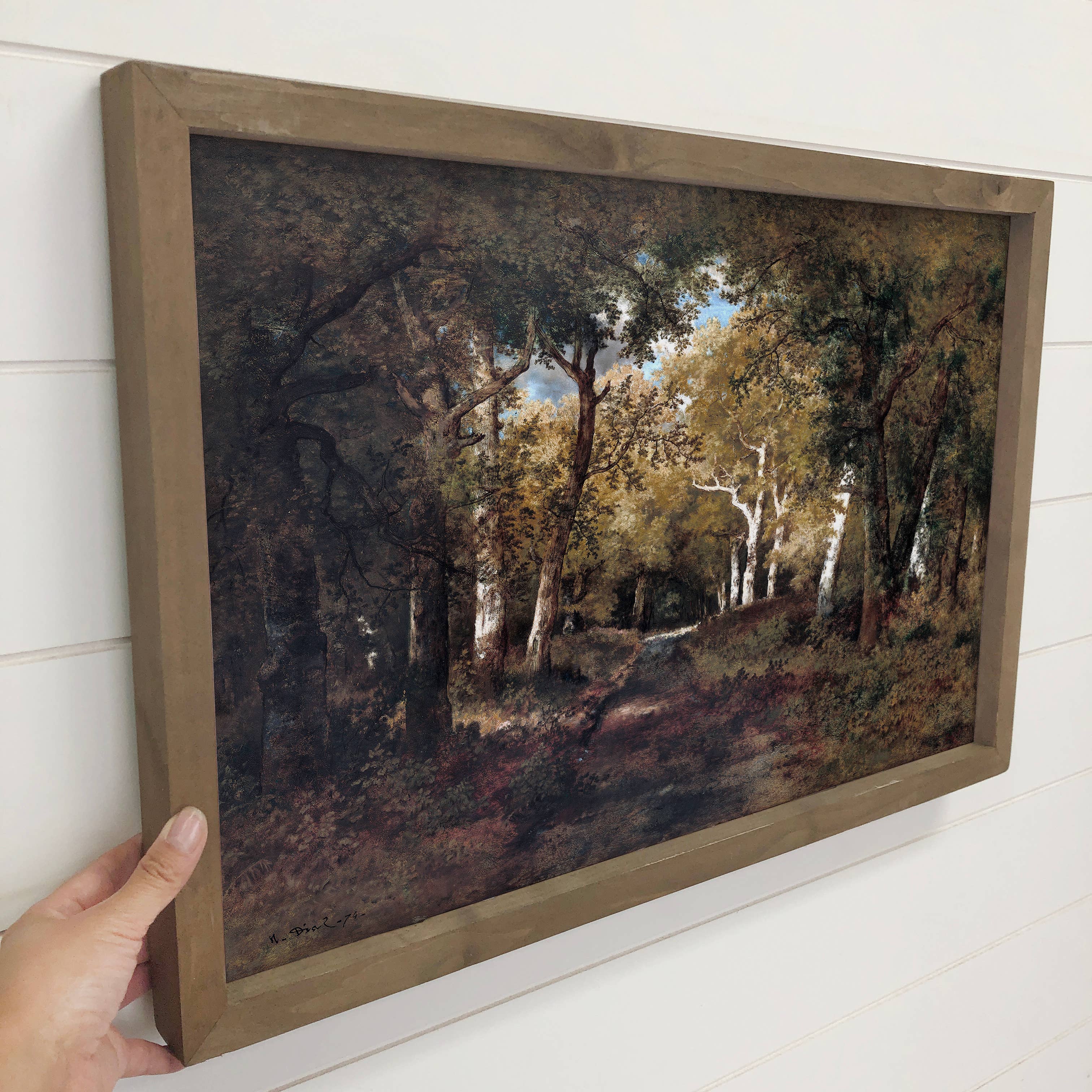 Thick Oak Forest - Forest Landscape Canvas Art - Wood Framed