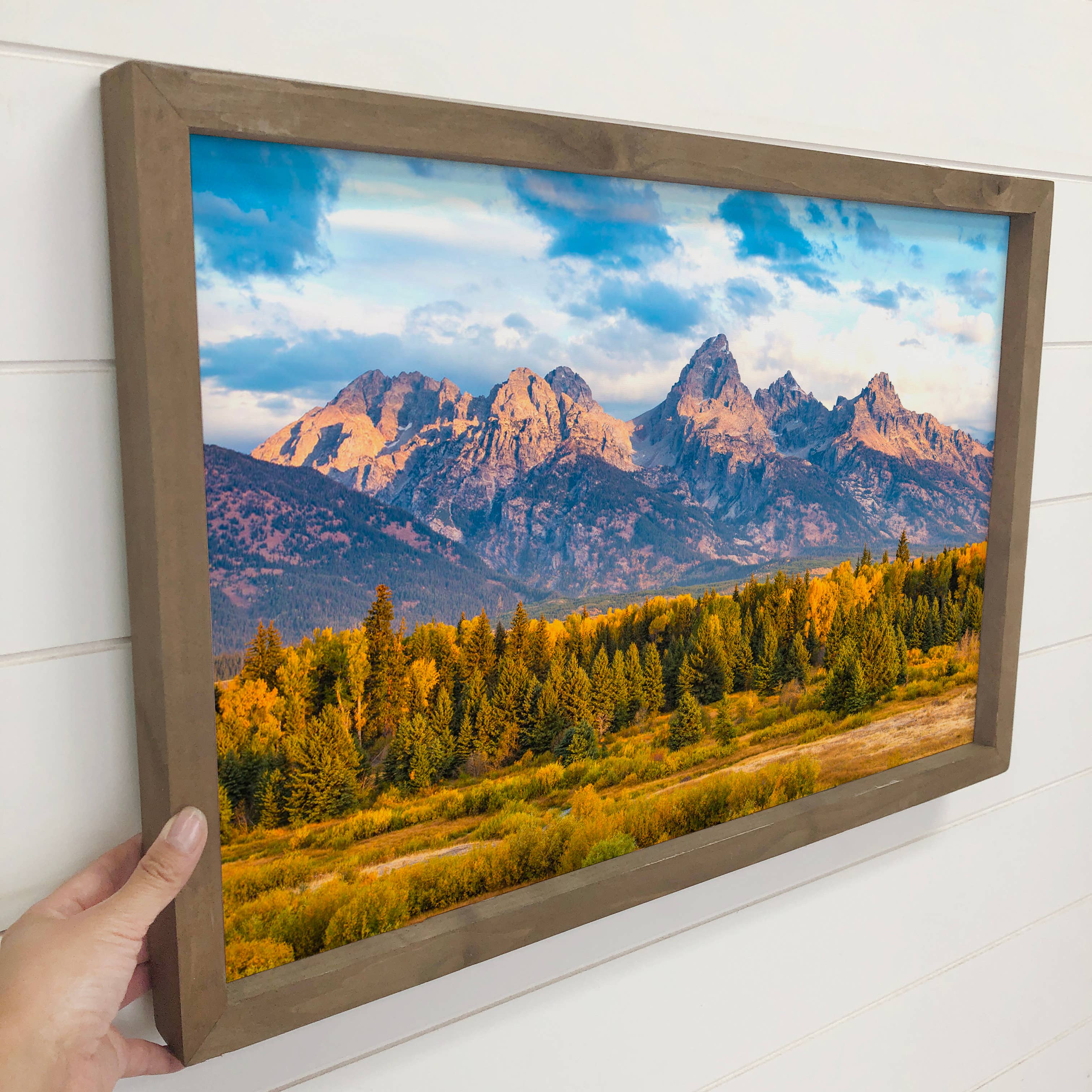 Grand Teton National Park View - Nature Canvas Art - Framed