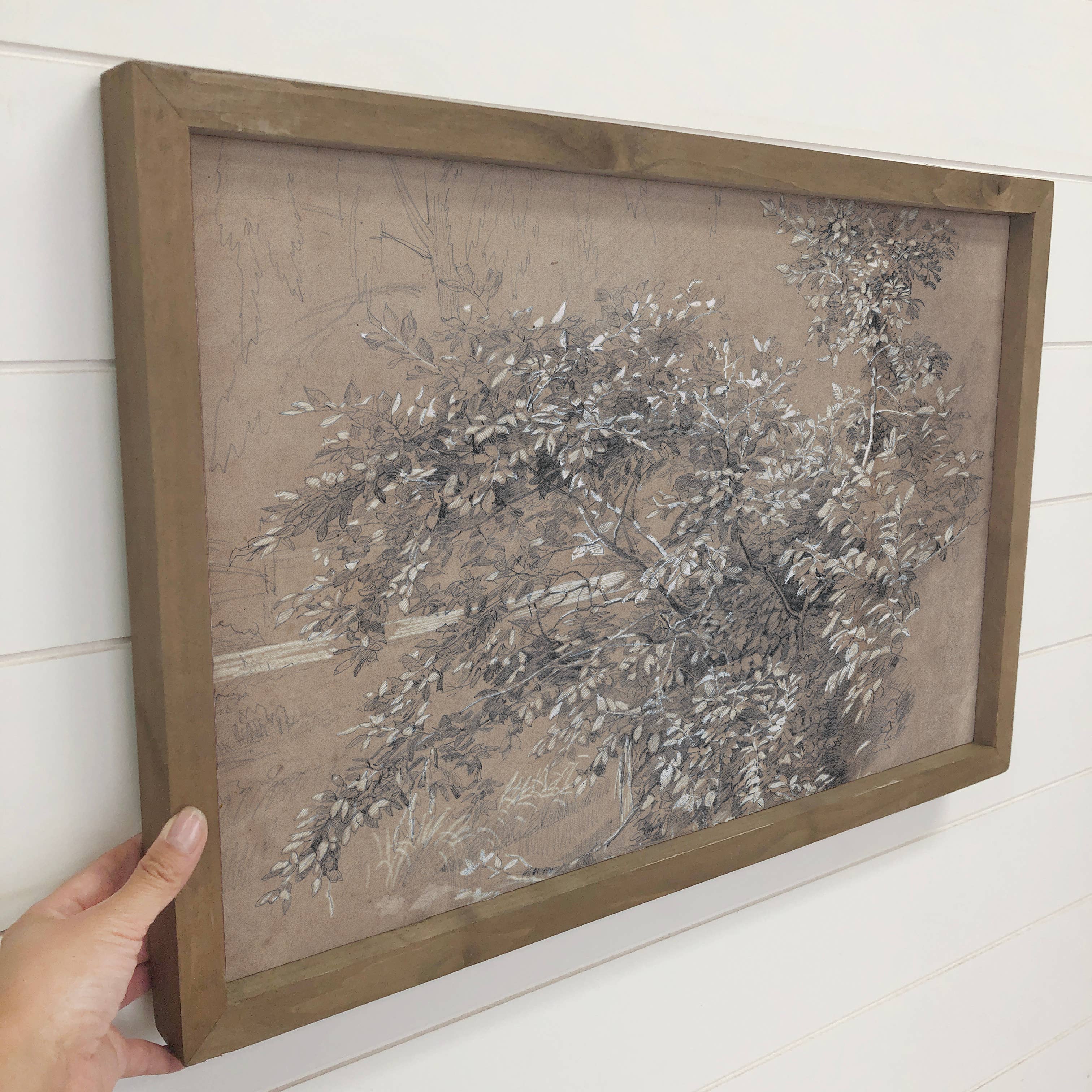 Beige Foliage - Farmhouse Flower Canvas Art - Wood Framed