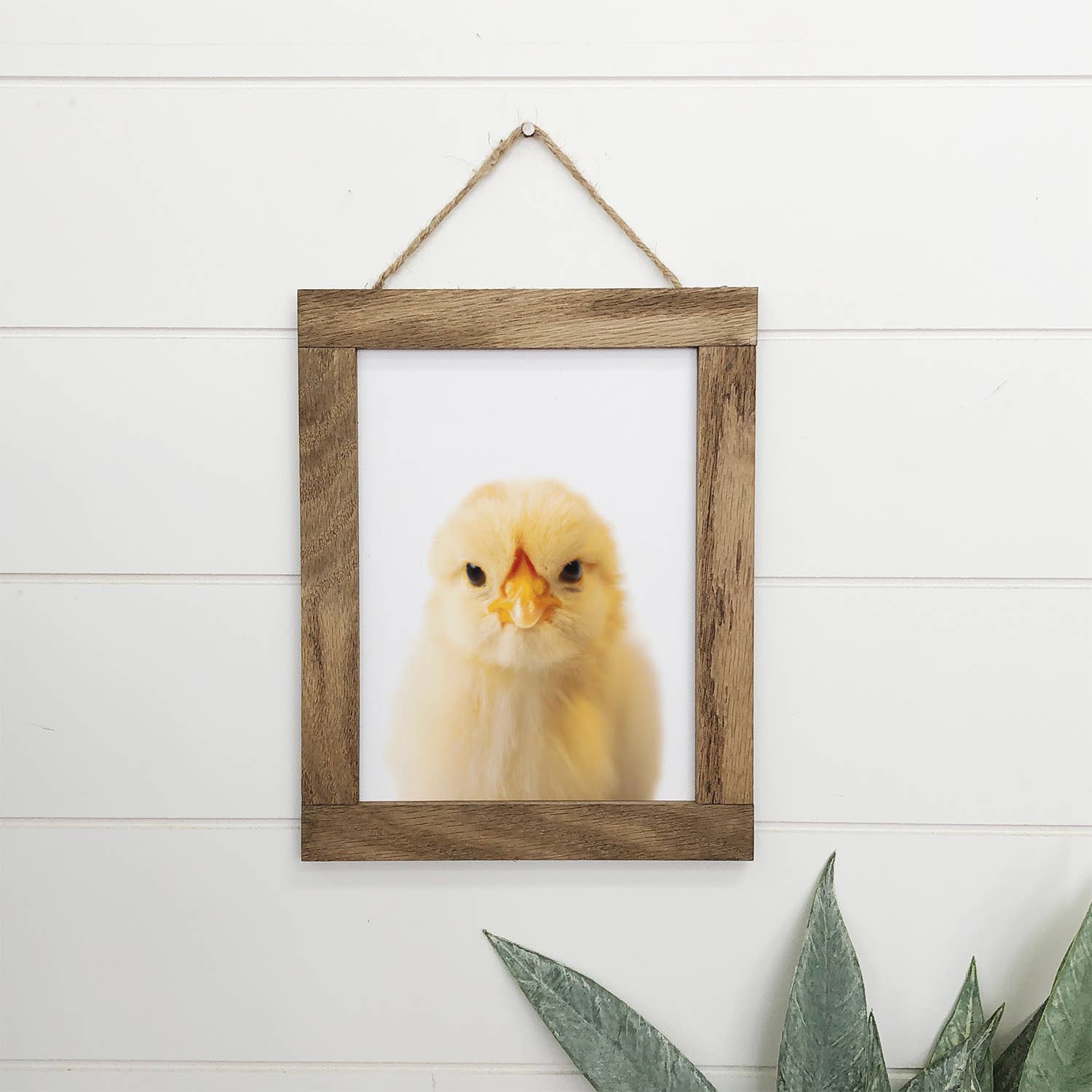 Baby Chicken Wood Farmhouse Sign Cute Animal Wall Art