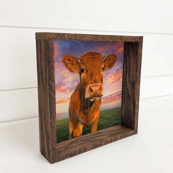 Cow at Sunset - Cute Cow Photo - Farmhouse Cow Art