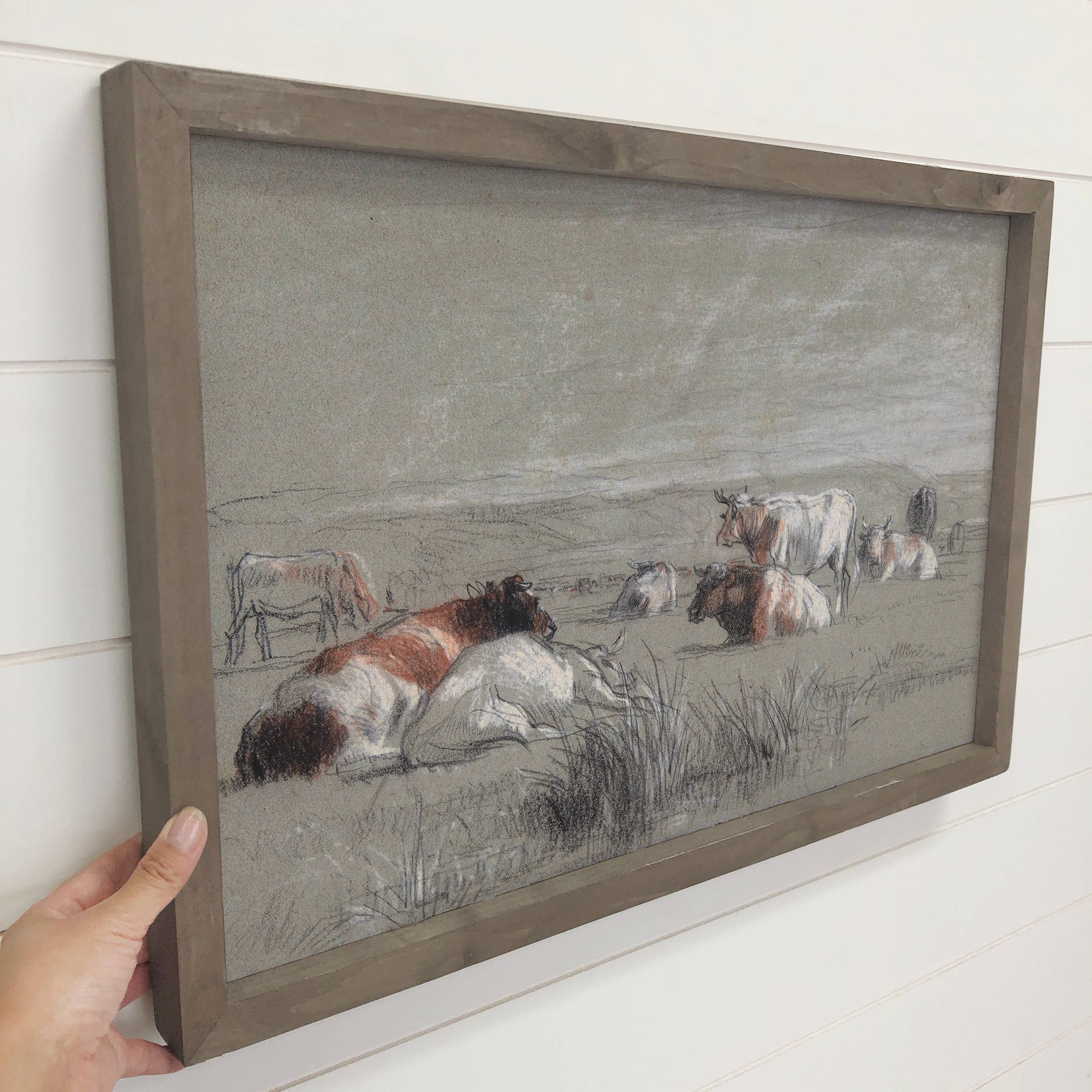 Cows Pencil Drawing - Cow Canvas Art - Wood Framed Wall Art