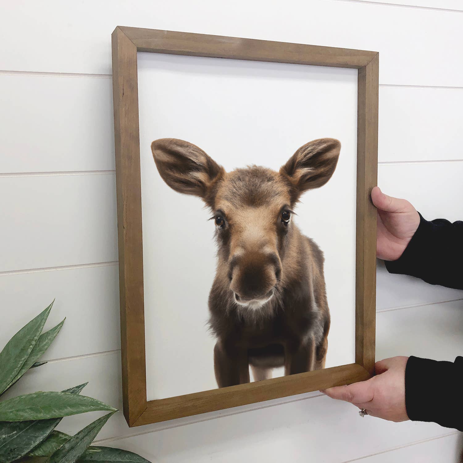 Baby Moose Wood Sign Cute Animal Wall Art