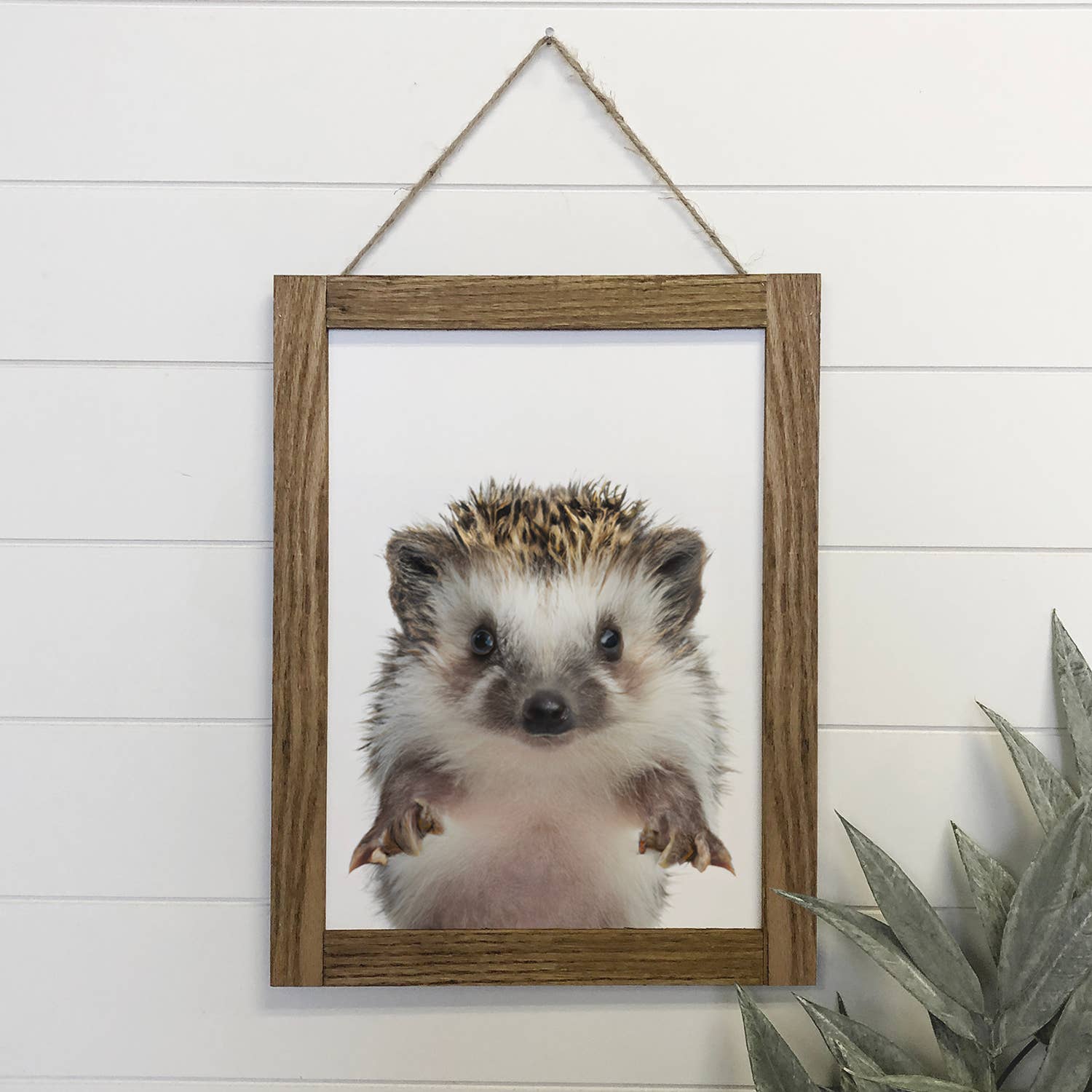 Baby Hedgehog Wood Sign Cute Animal Wall Art