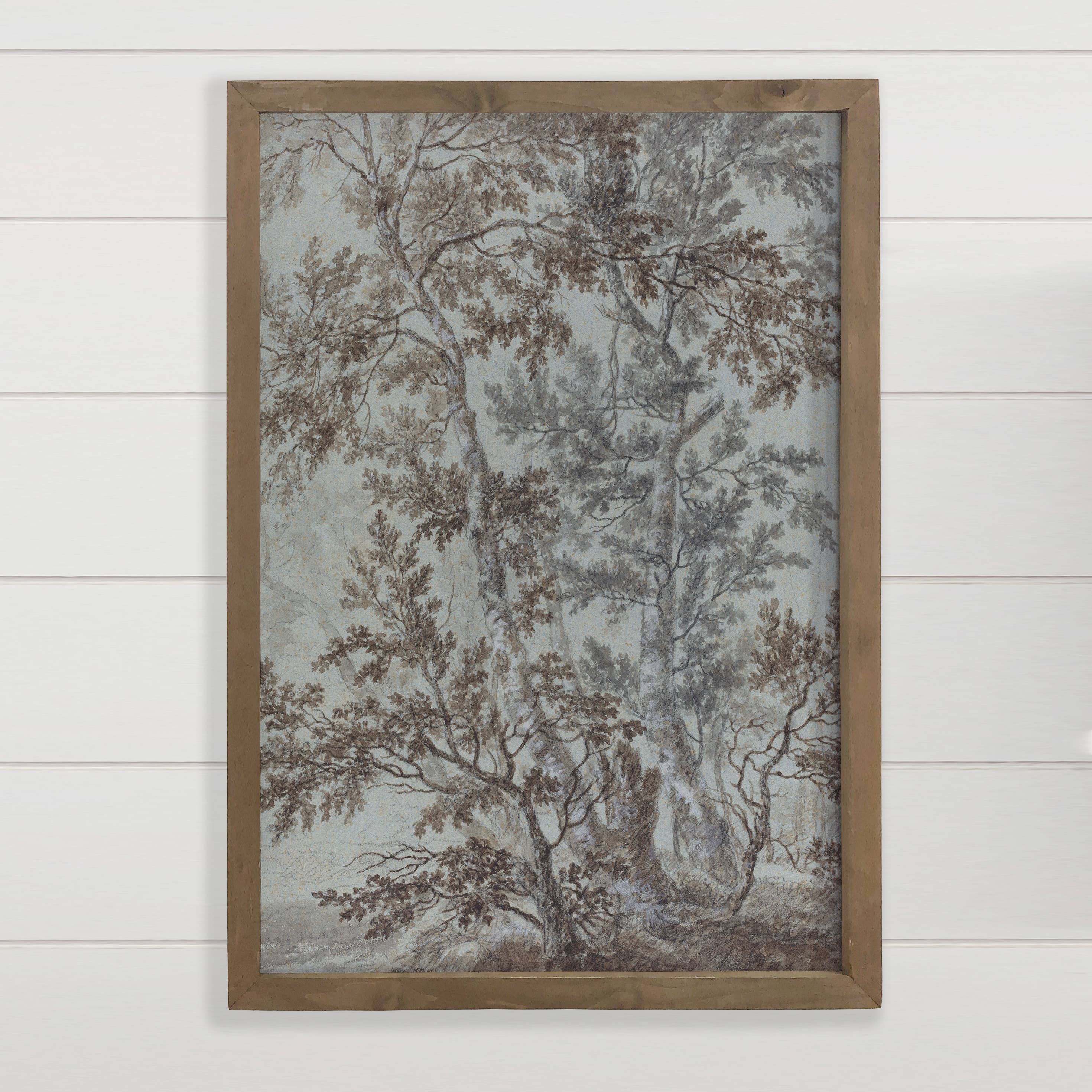 Birch Tree Study - Tree Canvas Wall Art - Wood Framed Art