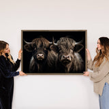 Highland Cow Pair Dark - Animal Photograph - Wood Framed Art