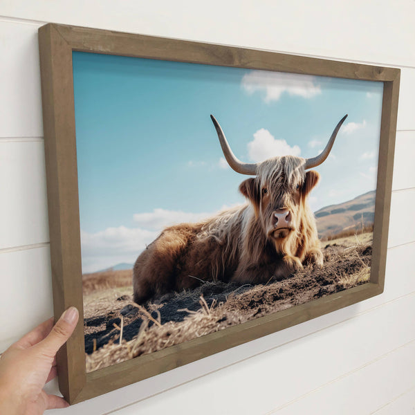 Highland Cow Relaxing - Highland Cow Photograph - Wood Frame