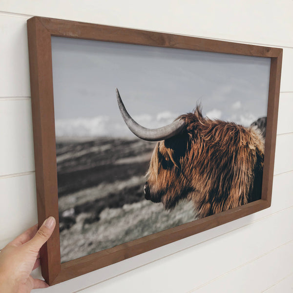 Highland Cow Sideways - Animal Photograph - Wood Framed Art