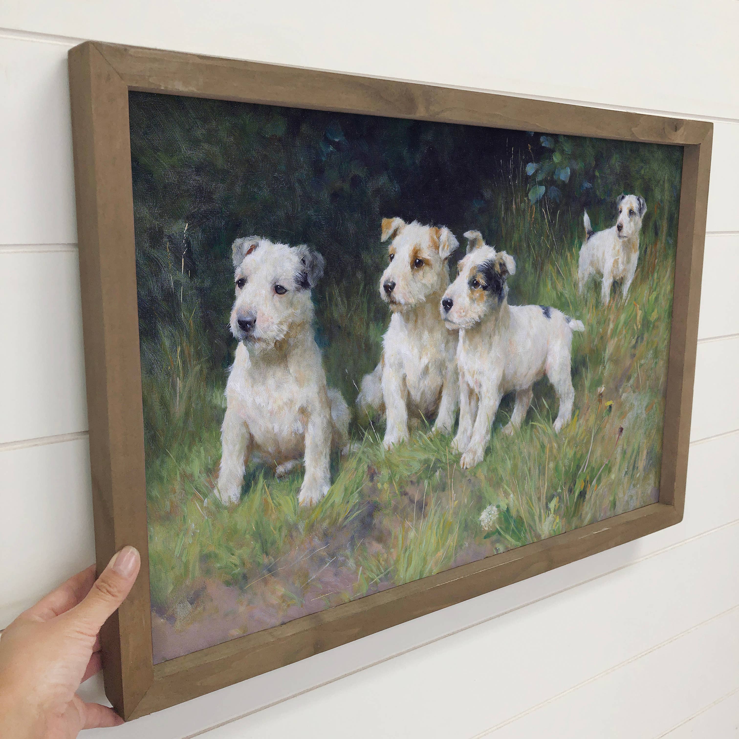 Terrier Pups in Grass - Puppy Canvas Art - Wood Framed Art