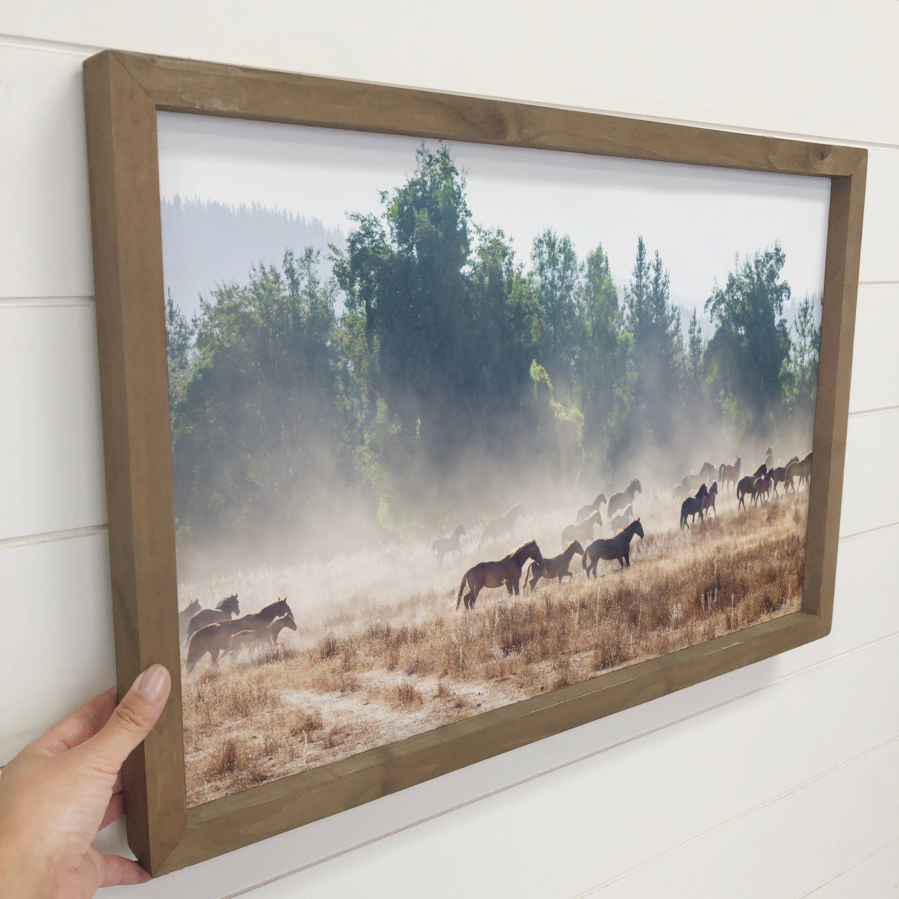 Horse Her Run - Ranch House Canvas Art - Wood Framed Art