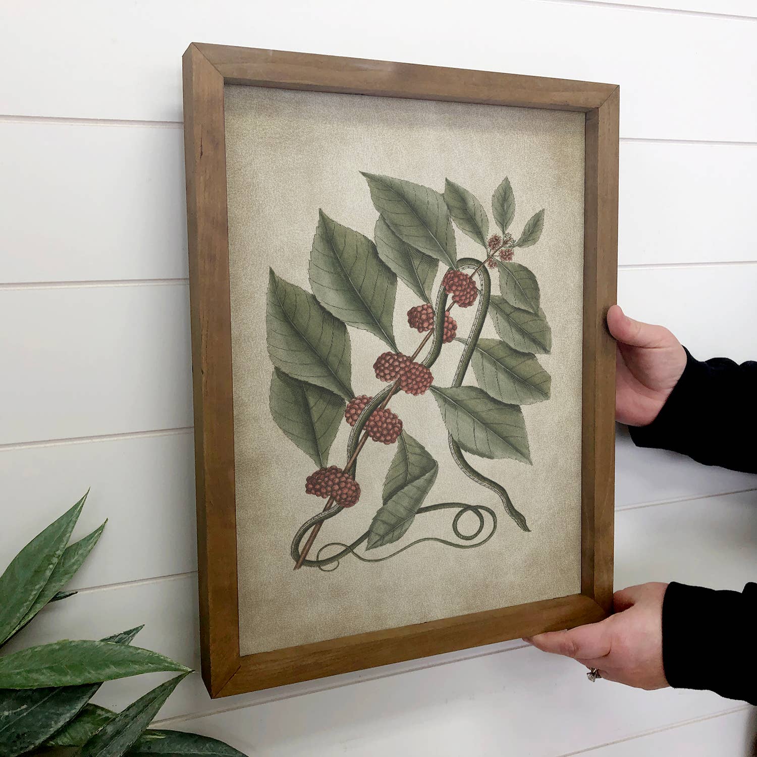 Snake and Raspberries - Snake Canvas Art - Wood Framed Art