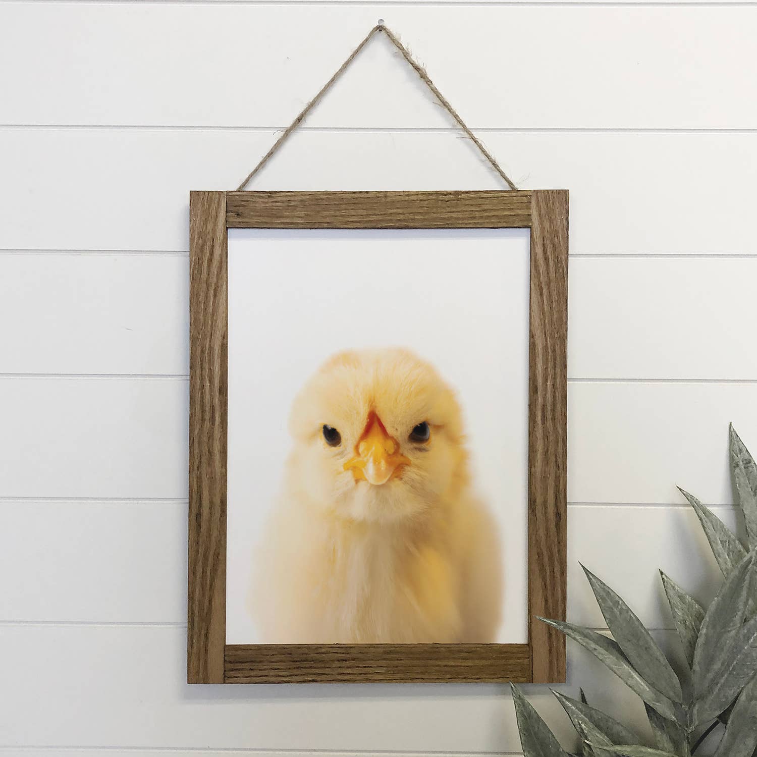 Baby Chicken Wood Farmhouse Sign Cute Animal Wall Art