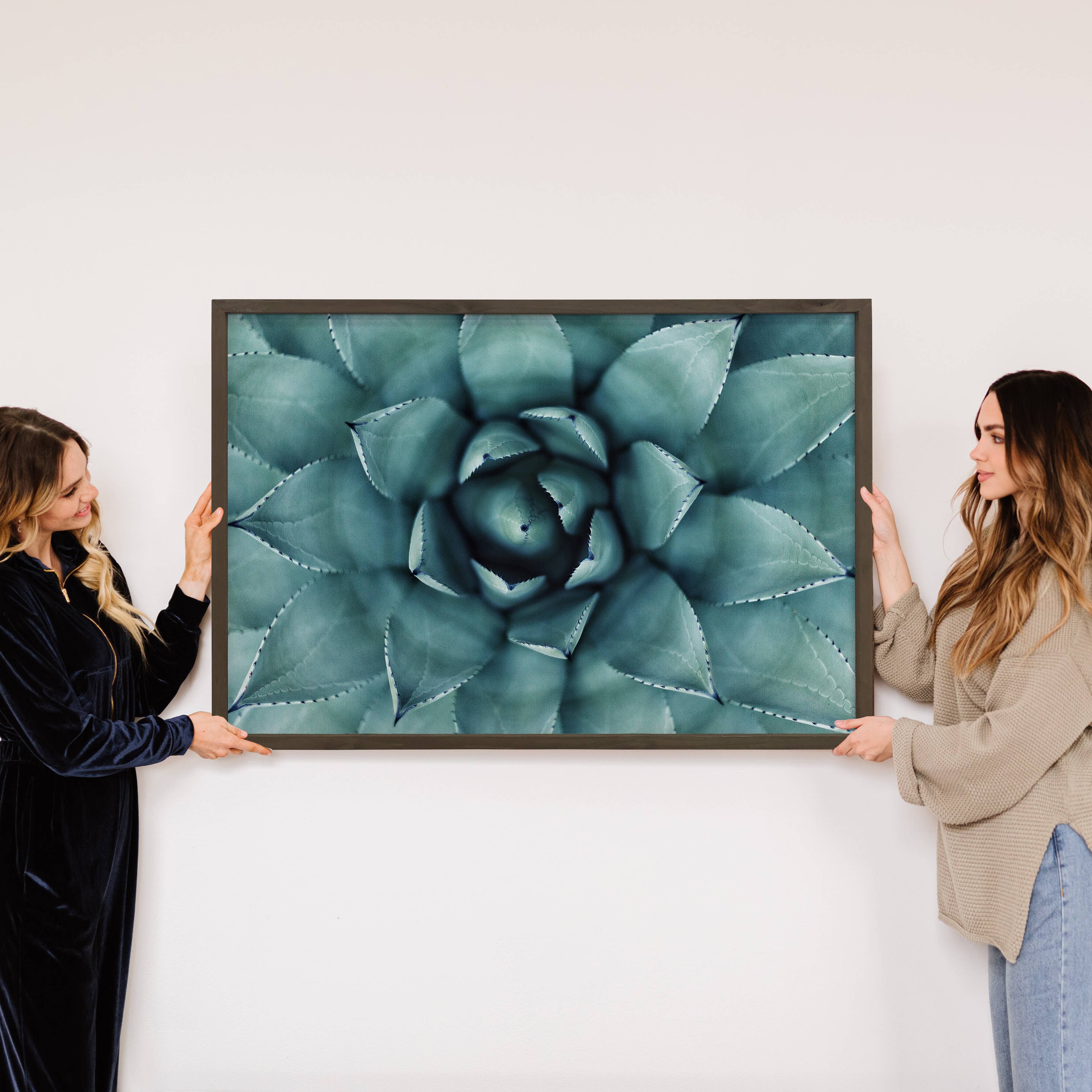 Agave Star - Agave Canvas Art - Wood Framed Flower Artwork