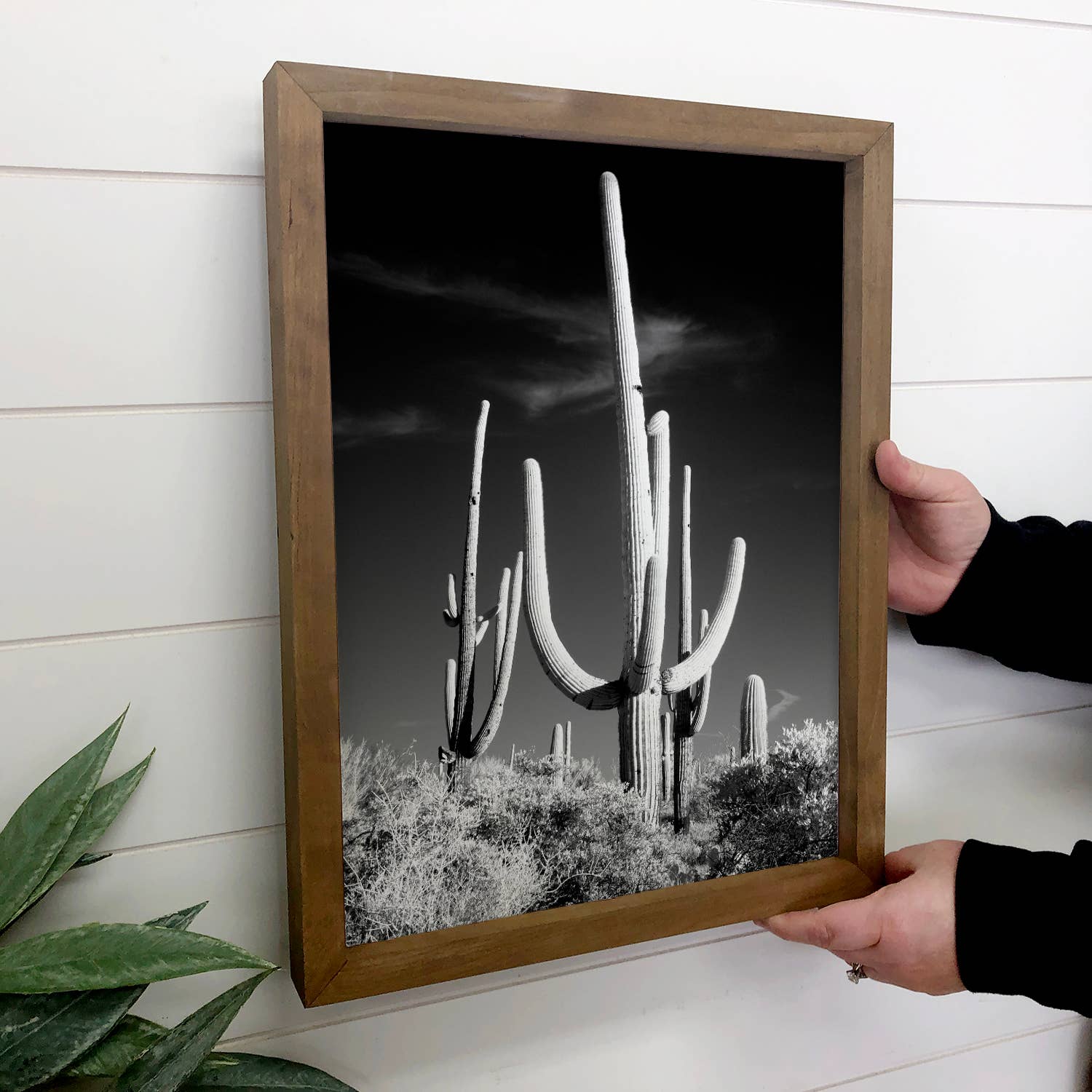 Saguaro Black and White - Framed Nature Photography