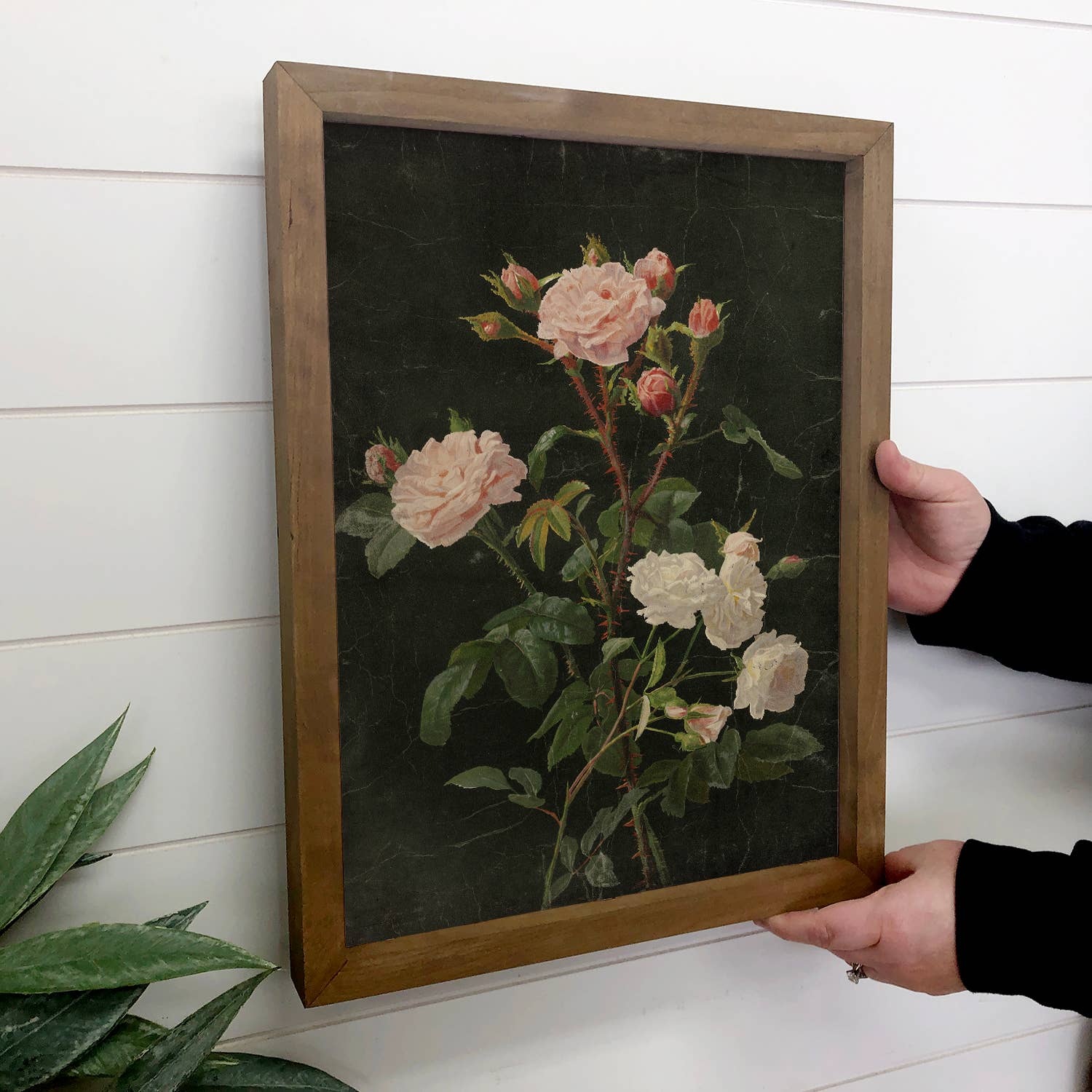 Thorned Roses - Flower Canvas Art - Wood Framed Wall Art