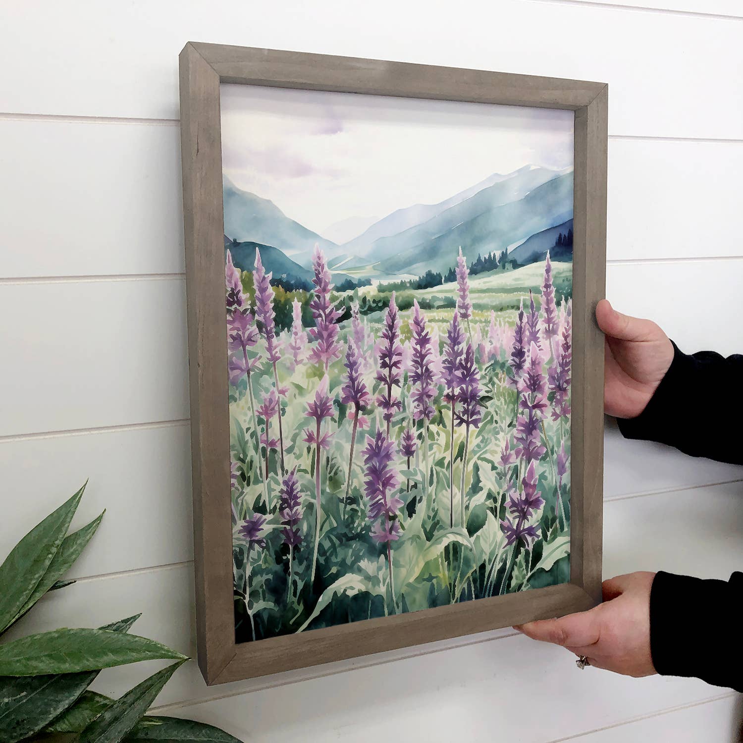 Patchouli Field - Mountain Landscape Canvas Art - Framed Art