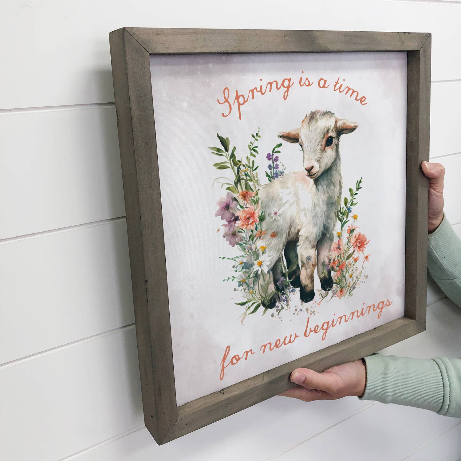Spring New Beginnings Baby Goat - Spring Time Canvas Art
