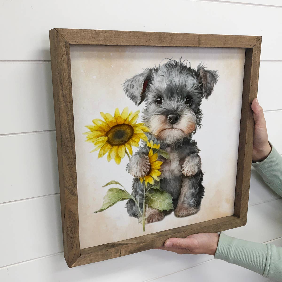 Sunflower Mini Schnauzer - Cute Puppy and Flowers - Fall Art
