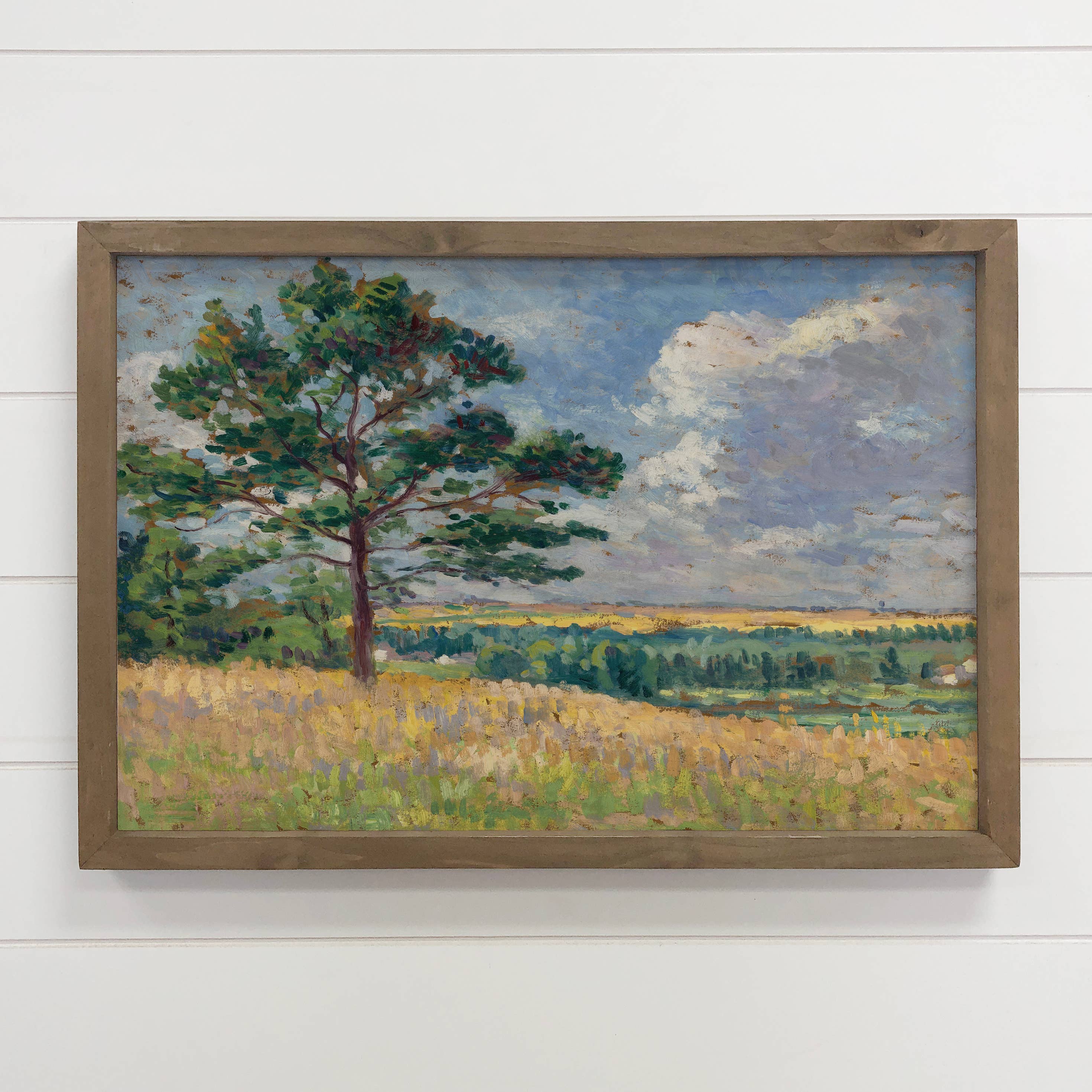 Golden Lands - Open Field Landscape Canvas Art - Framed Art