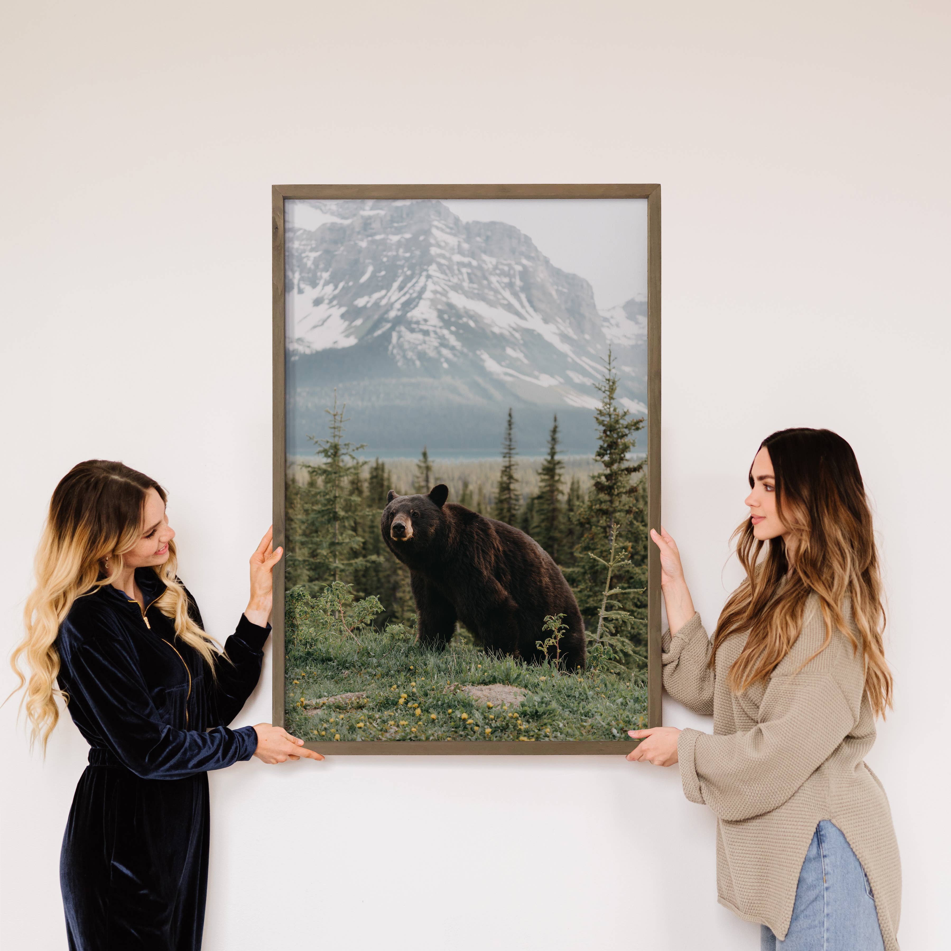 Black Bear Glacier Montana - Wildlife Photograph Canvas Art