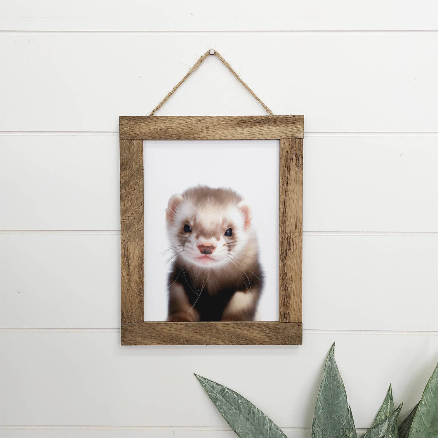 Baby Ferret Wood Sign Cute Animal Wall Art