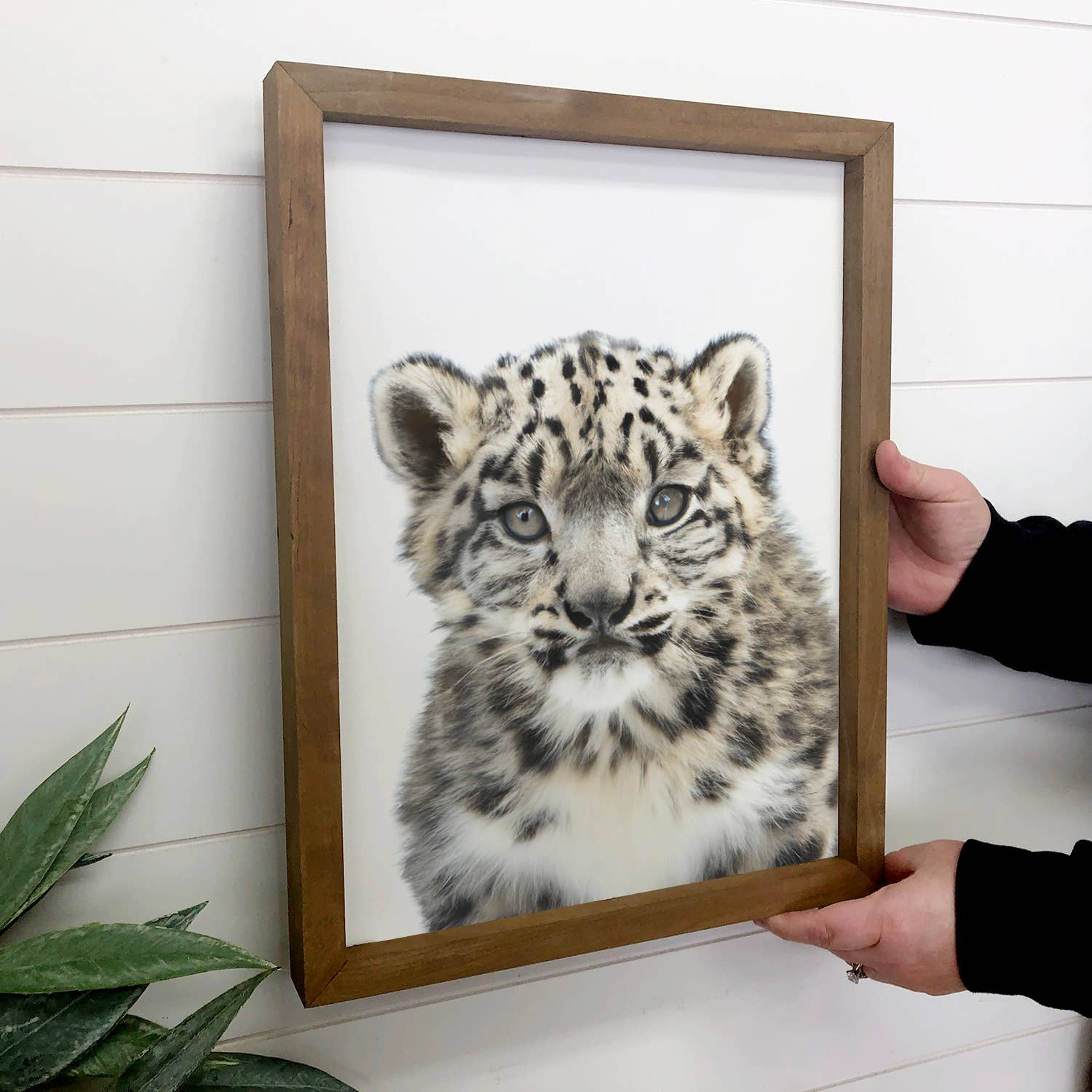 Baby Snow Leopard Wood Sign Cute Animal Wall Art