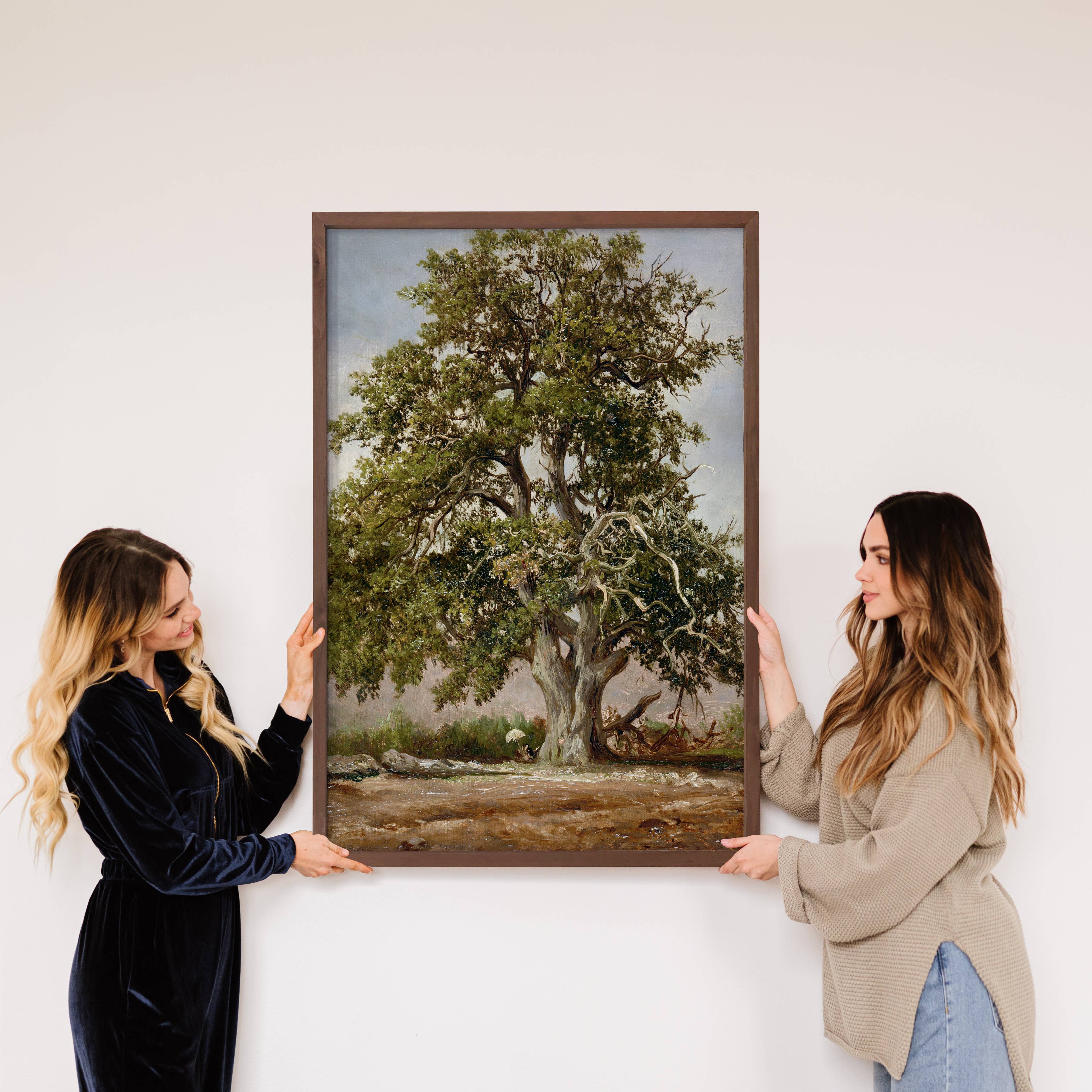 Old Giant Oak Tree - Nature Canvas Art - Wood Framed Artwork