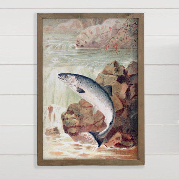 Salmon Leap - Fish Canvas Wall Art - Wood Framed Wall Decor