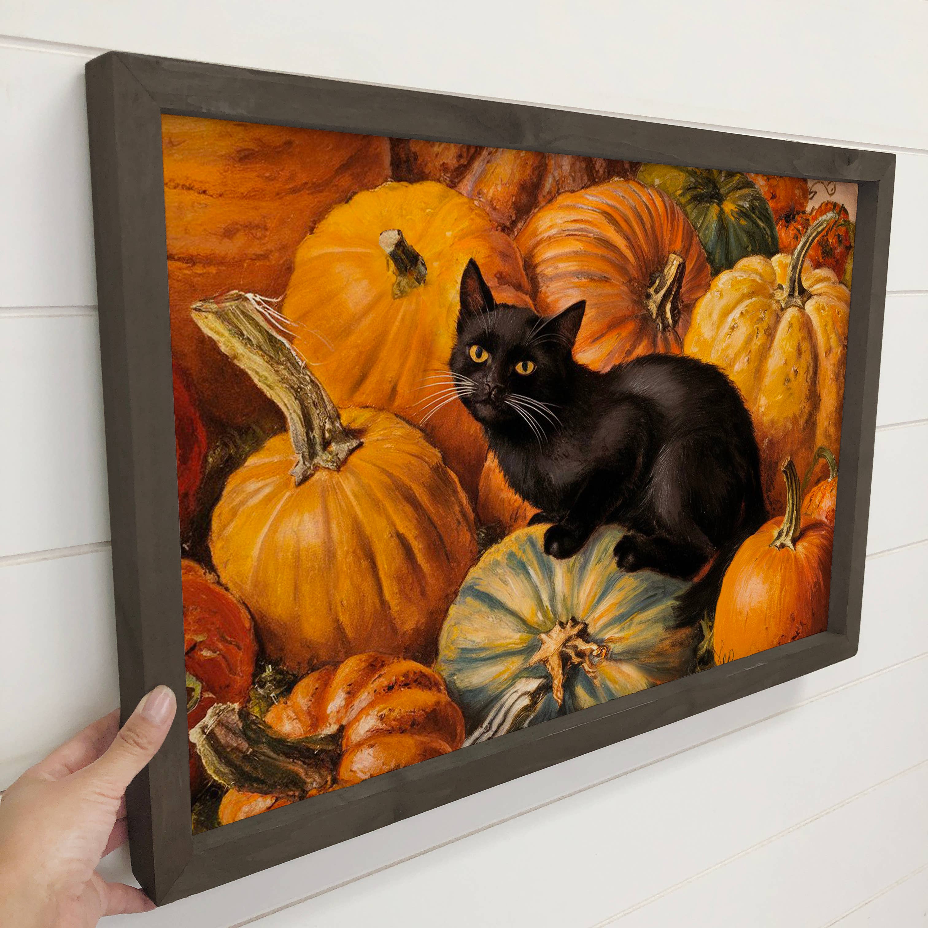 Black Cat in Pumpkins - Fall Canvas Art - Wood Framed Art