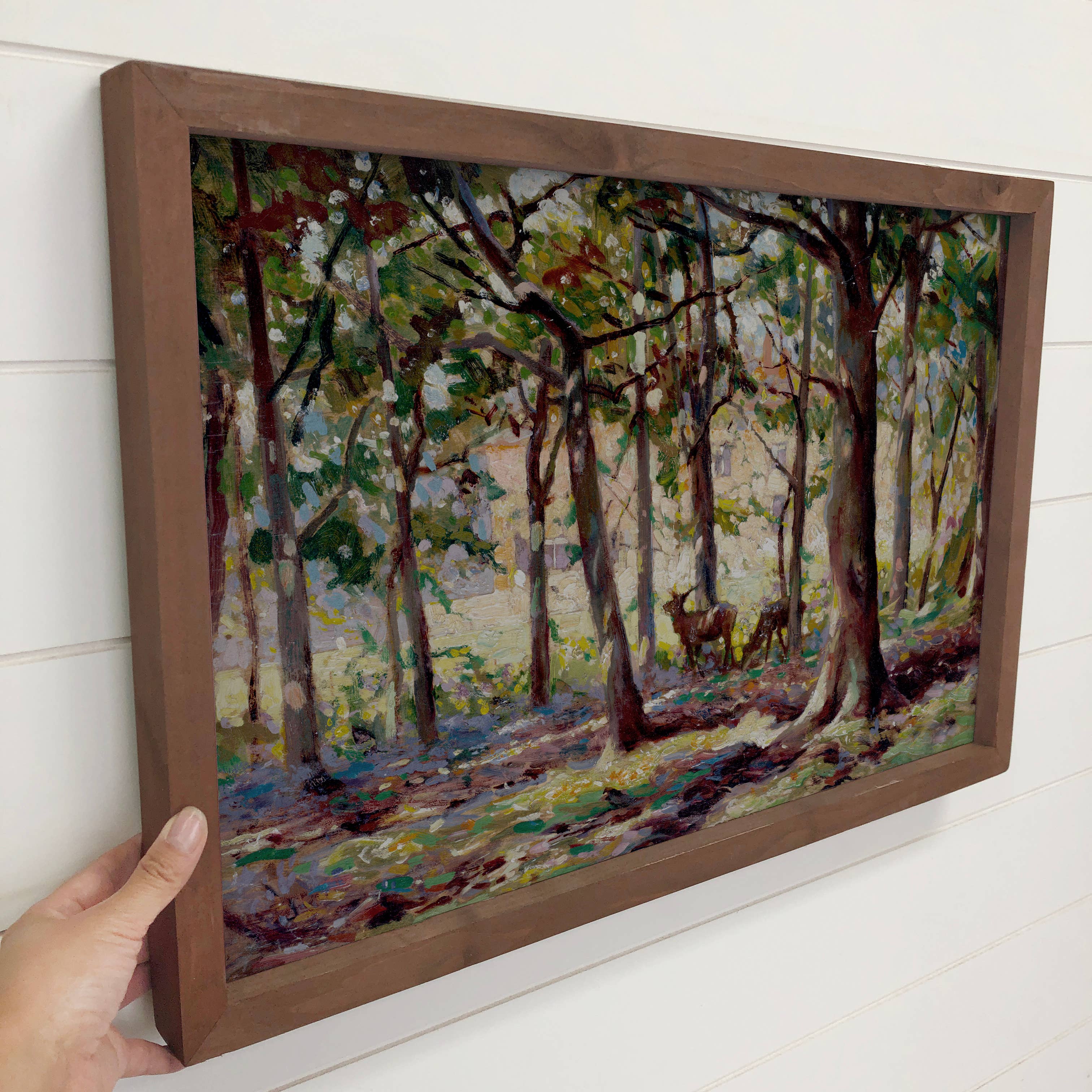 Deer Sunlit Trees - Wildlife Canvas Art - Wood Framed Decor