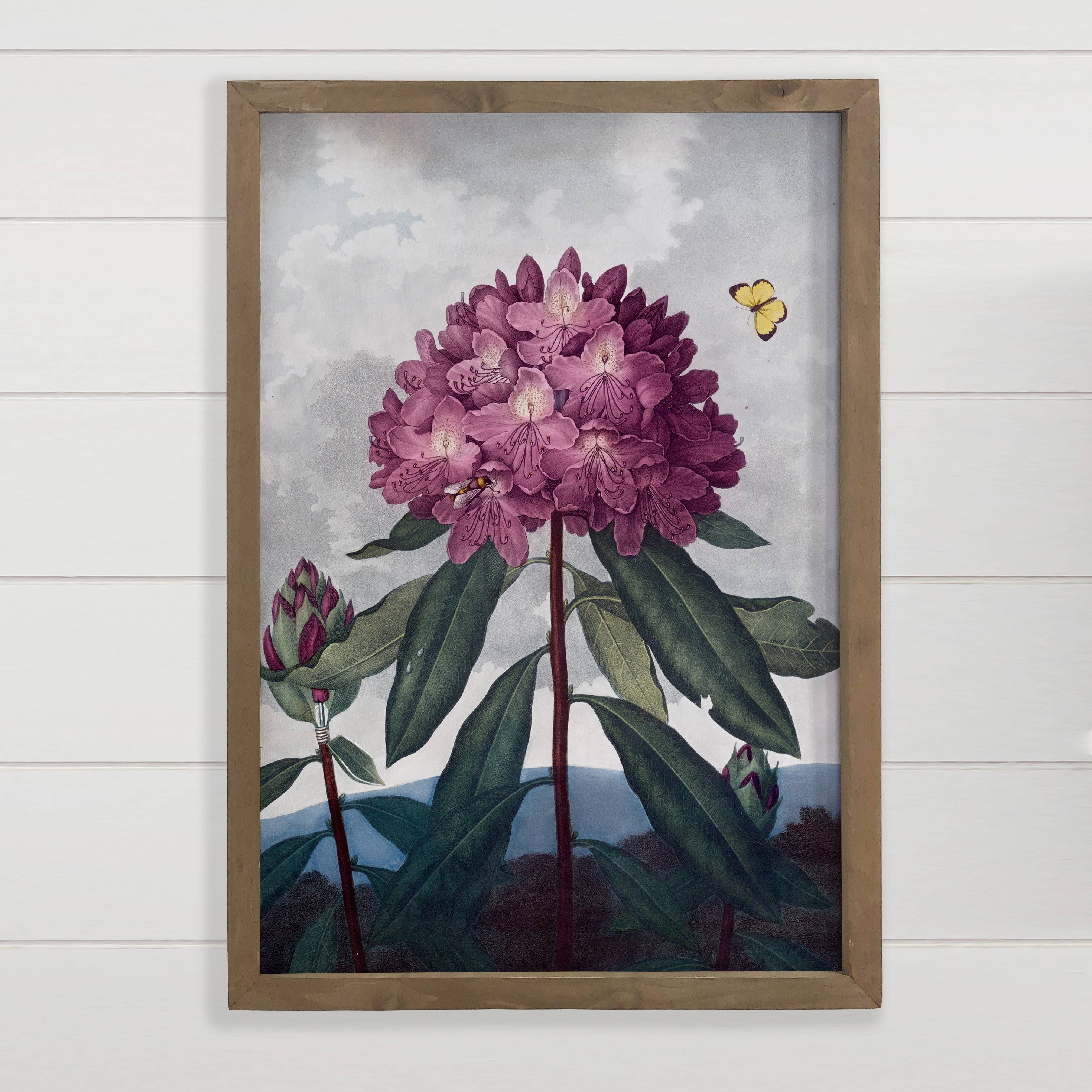 Rhododendron - Flower Canvas Art - Wood Framed Wall Art