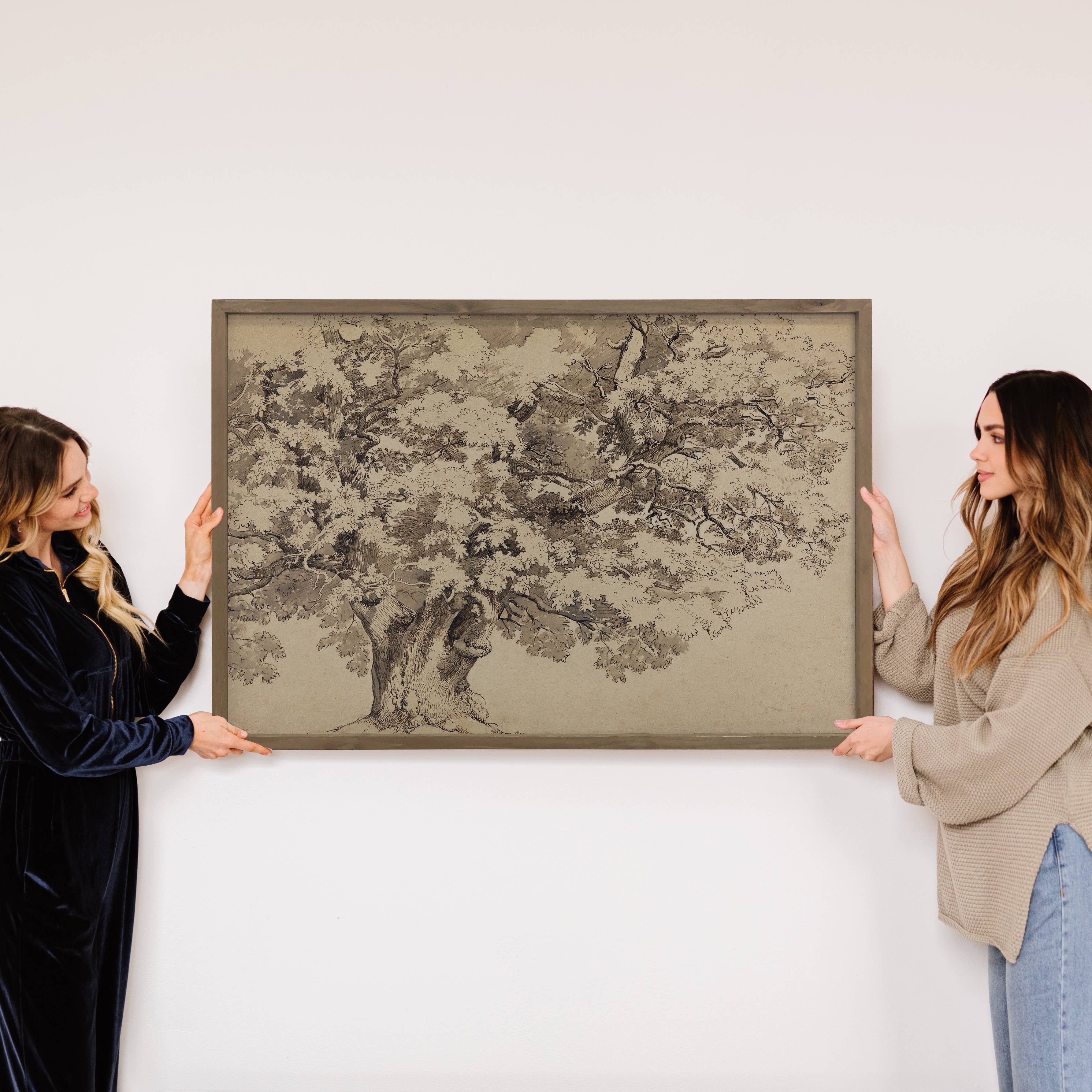 Oak Tree Sketch - Nature Sketch Canvas Art - Wood Framed Art