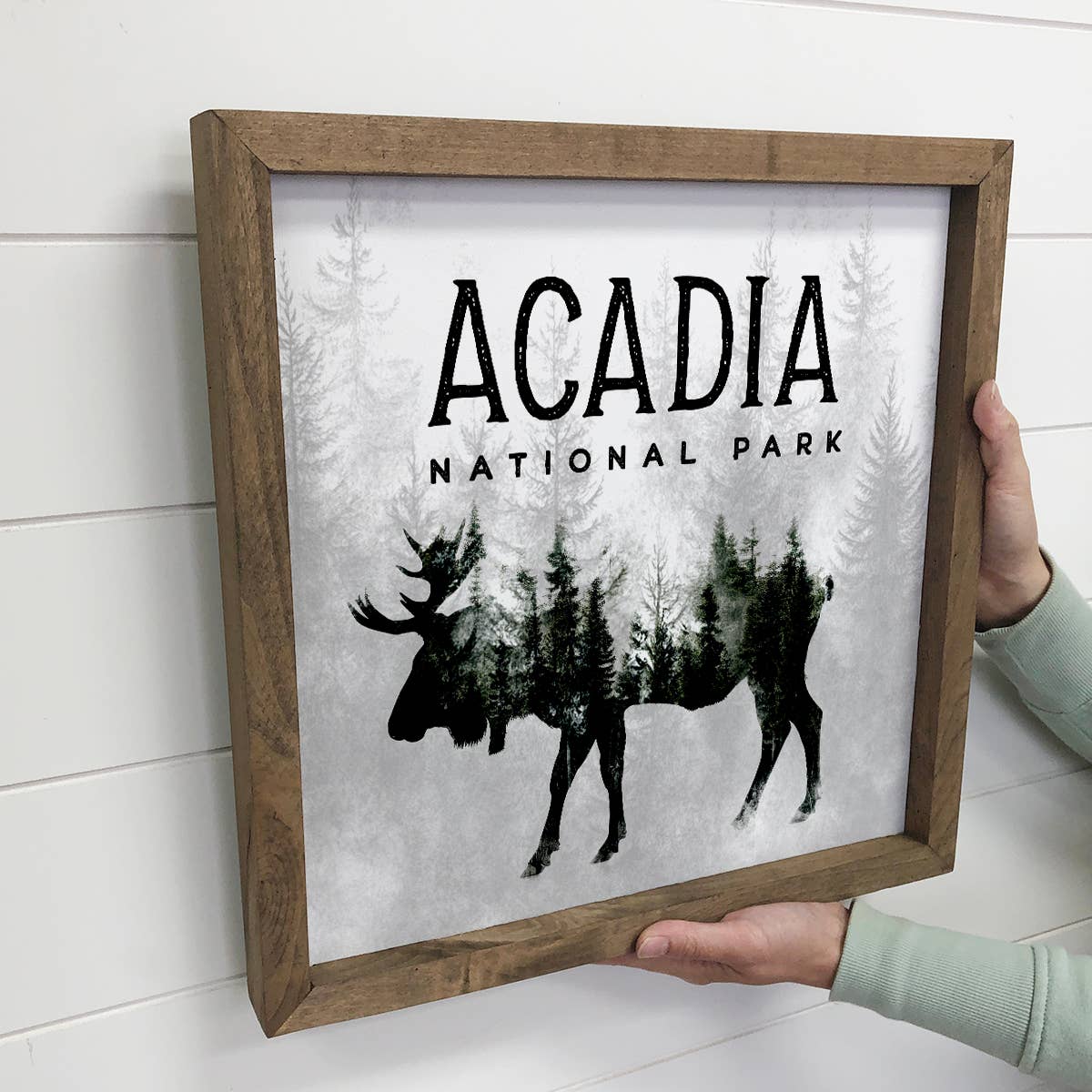 Moose Pine Trees Custom National Park - Moose Canvas Art