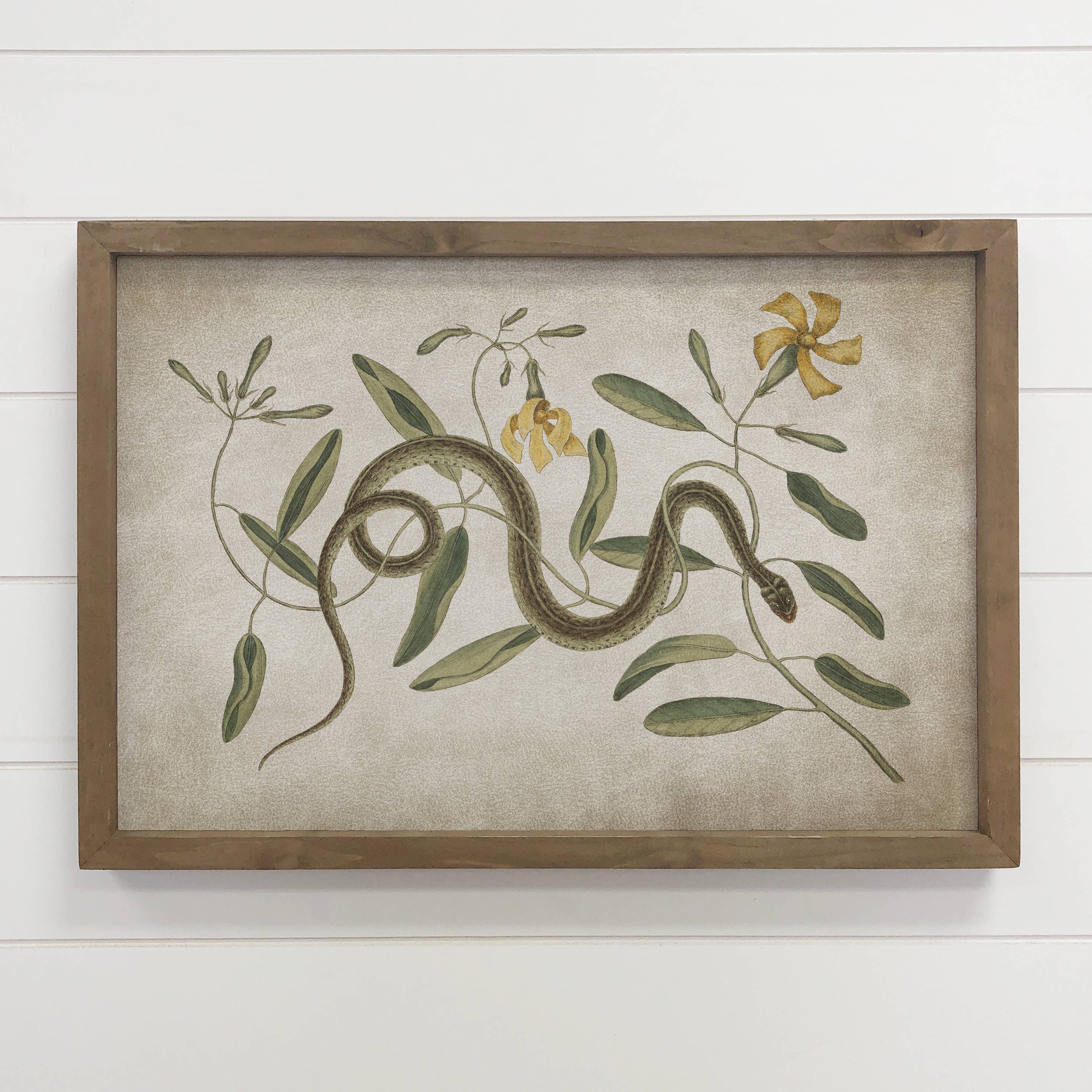 Snake & Yellow Flowers - Snake Canvas Art - Wood Framed Art