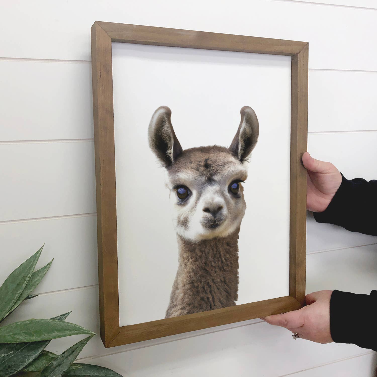 Baby Llama Wood Farmhouse Sign Cute Animal Wall Art