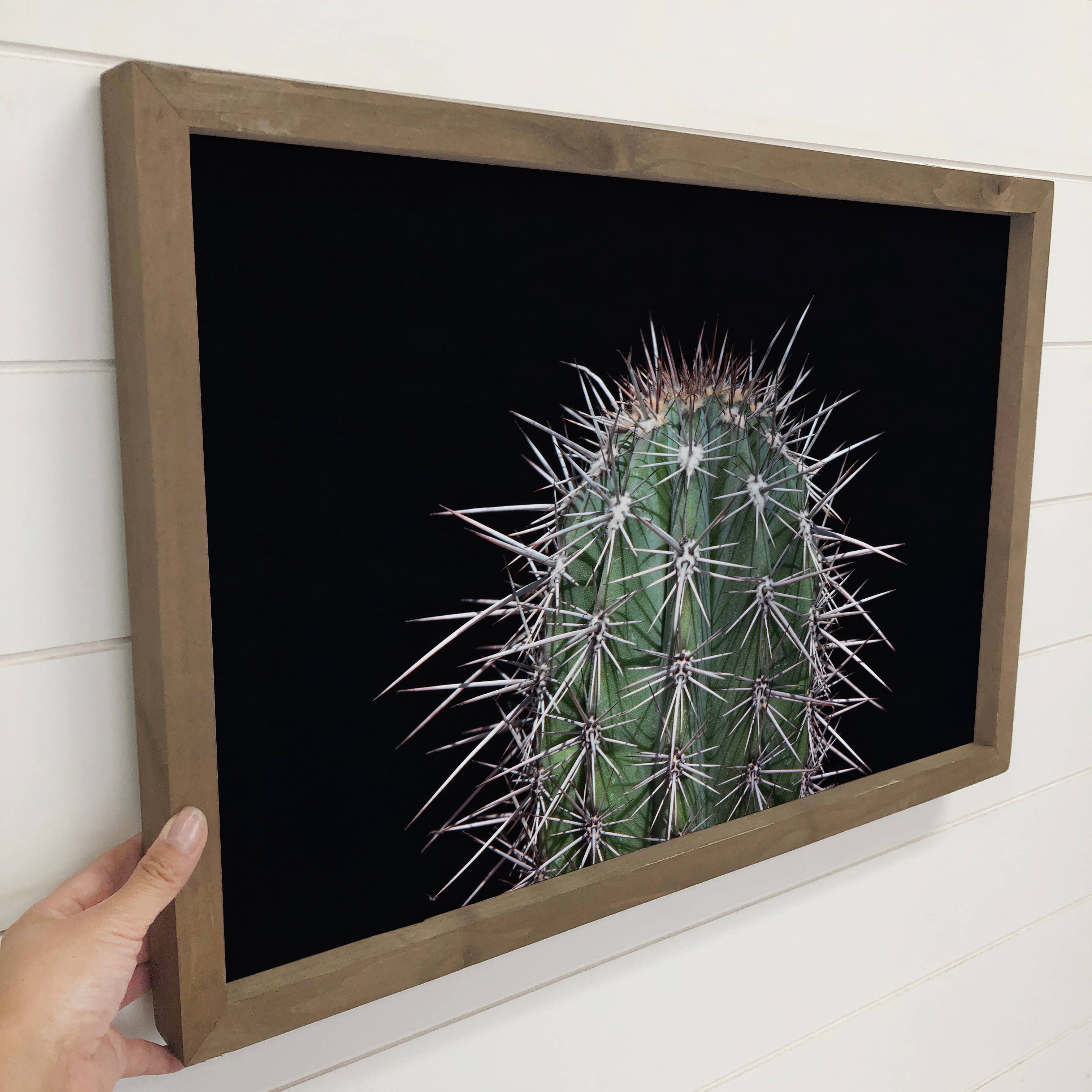 Cactus Spikes - Cactus Canvas Wall Art - Wood Framed Decor