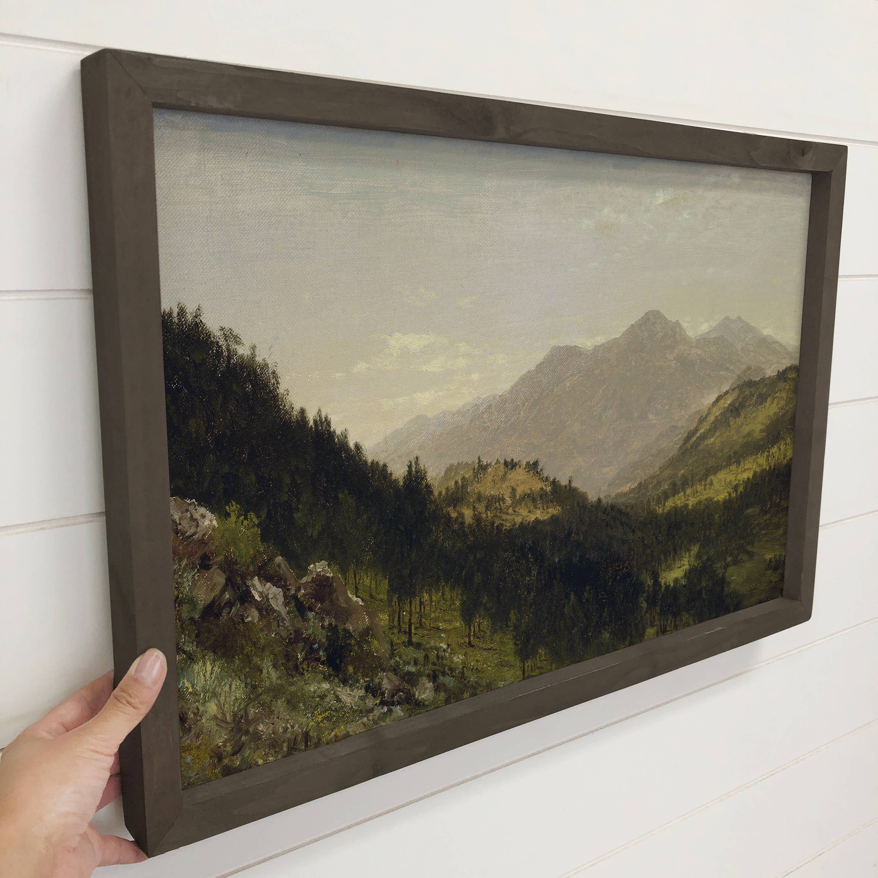 Colorado Wild -Mountain Landscape Canvas Art - Wood Framed