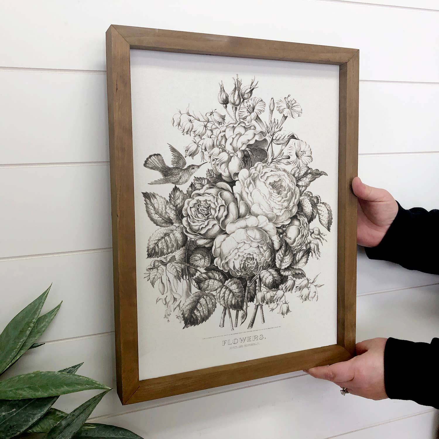 Flowers Black & White - Framed Nature Art - Living Room Art