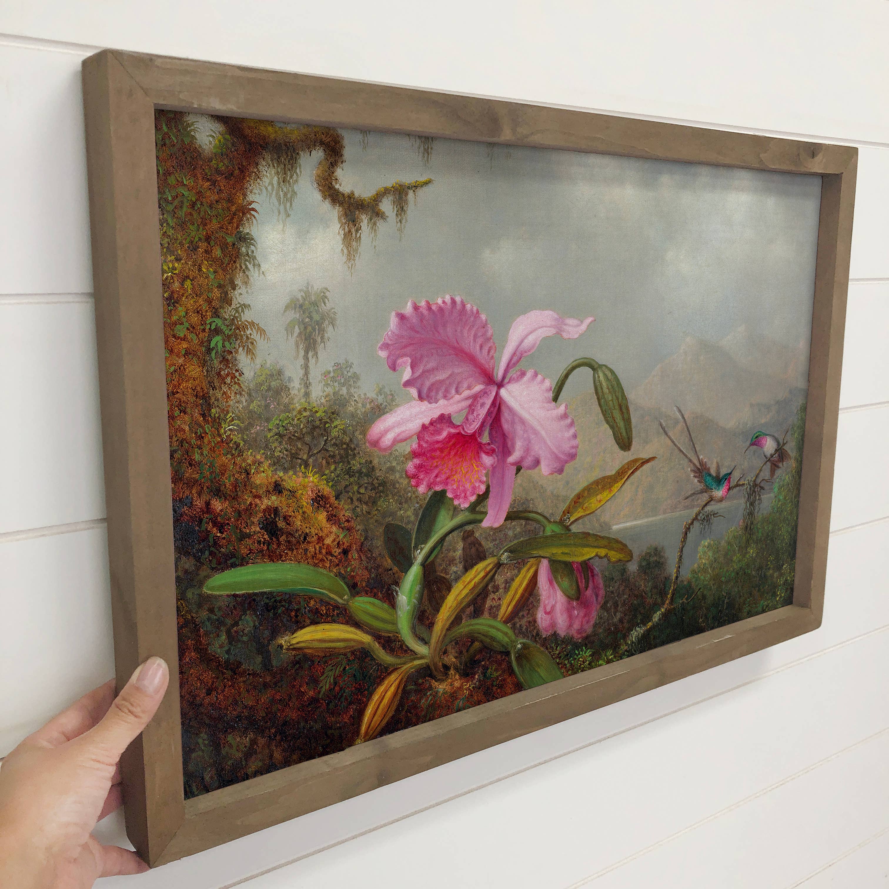 Orchids Hummingbirds - Bird Canvas Art - Wood Framed Decor