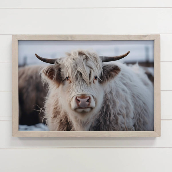 White Highland Cow - Farmhouse Décor - Framed Animal Photo