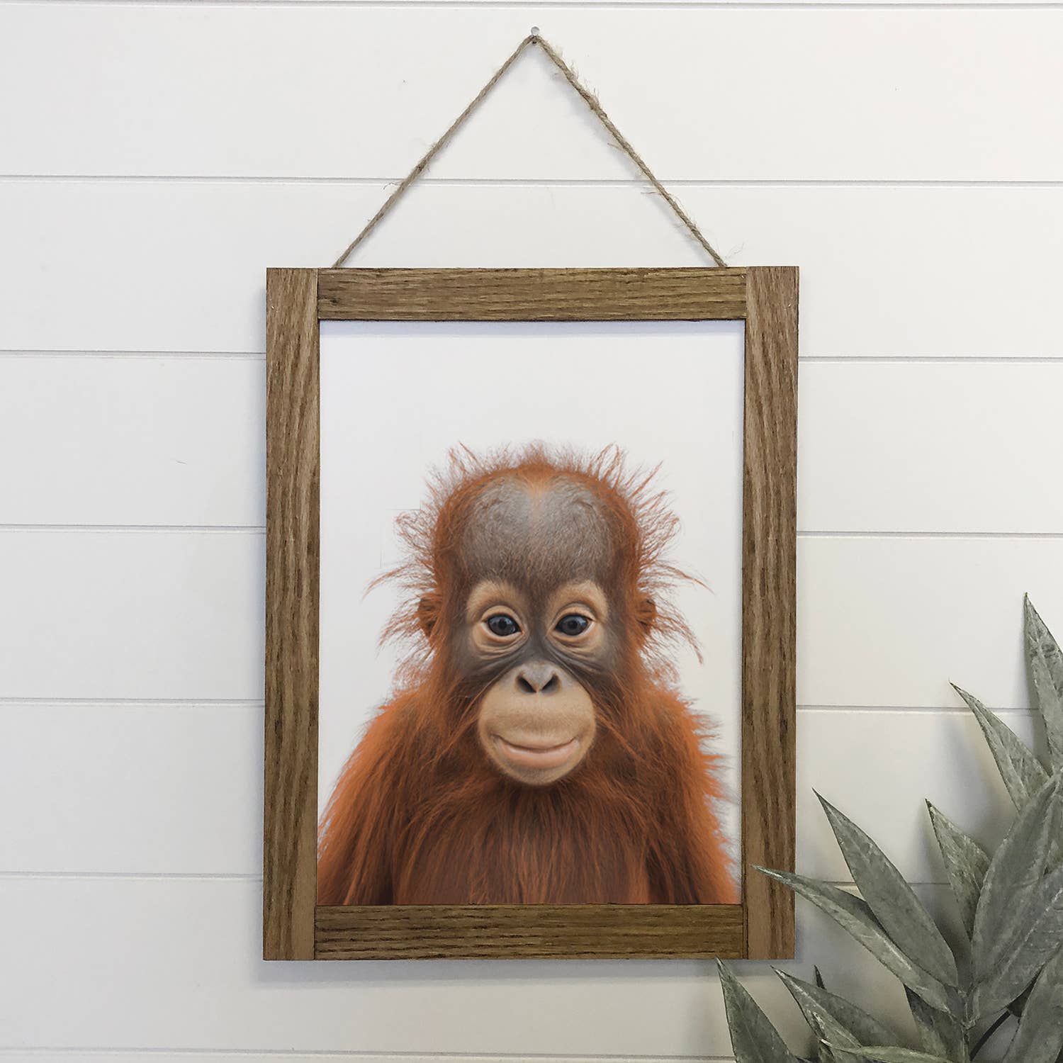 Cute Baby Orangutan Wood Sign Animal Wall Art