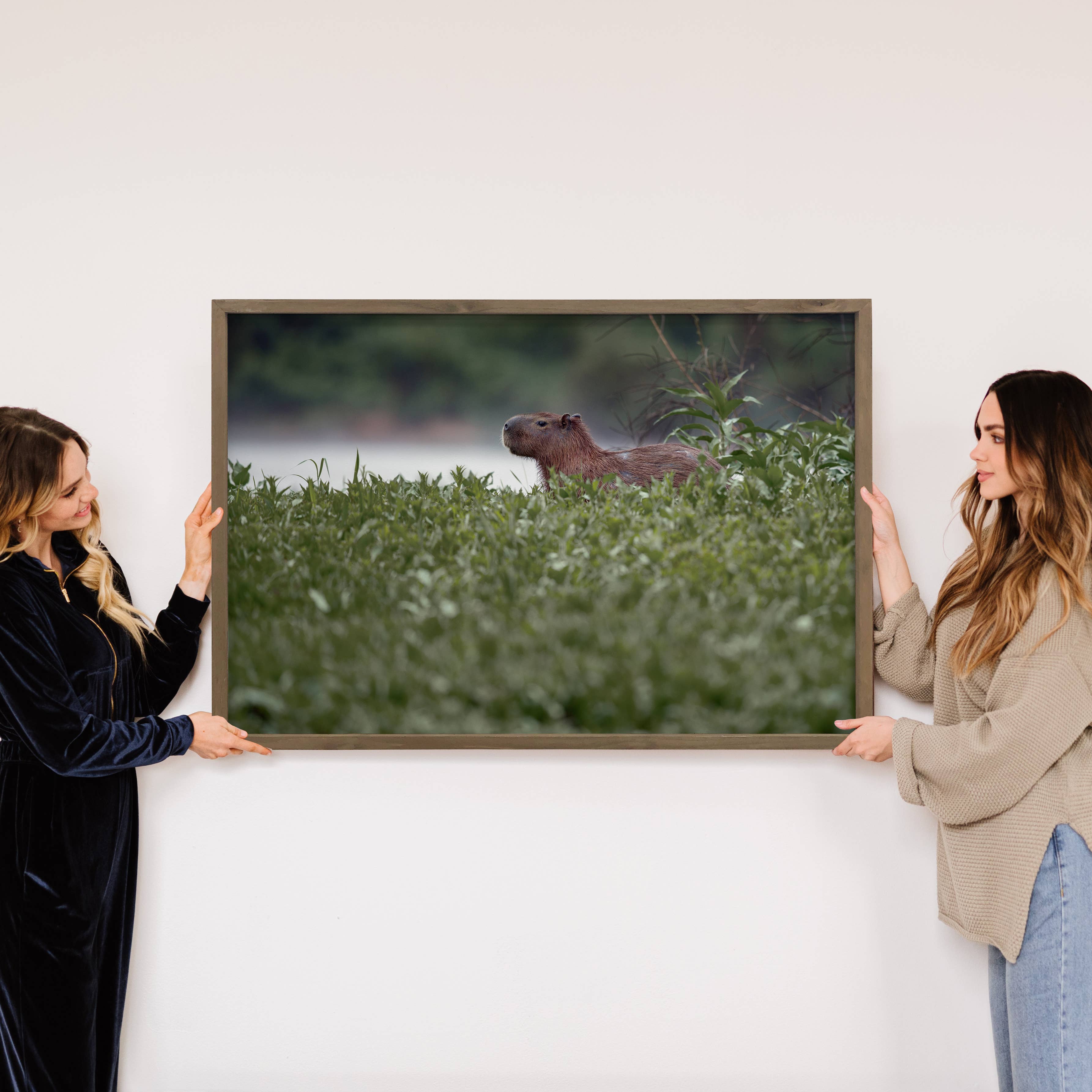 Capybara Poking Head Out - Wildlife Photograph Canvas Art