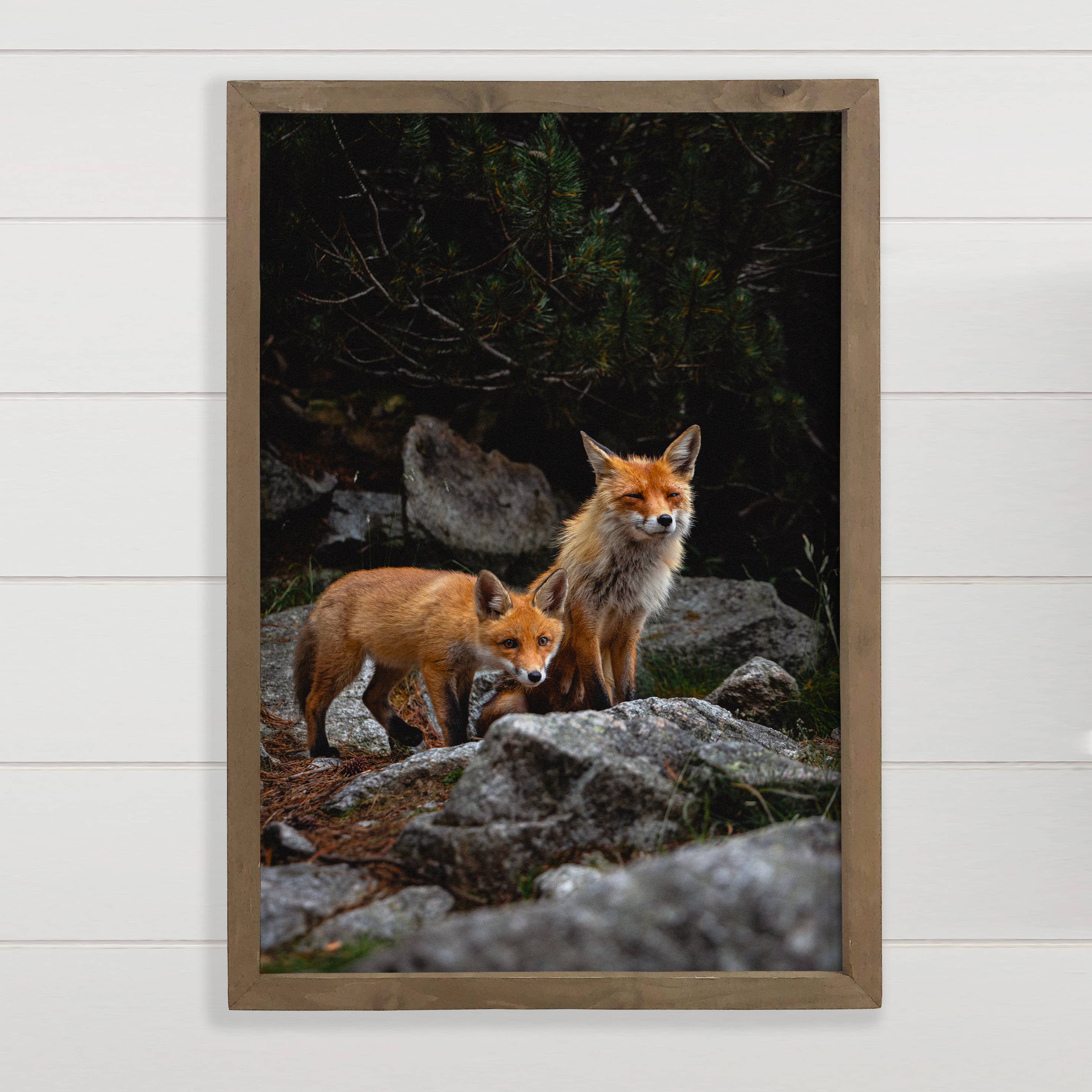 Fox Brothers - Wildlife Photograph Canvas Art - Wood Framed