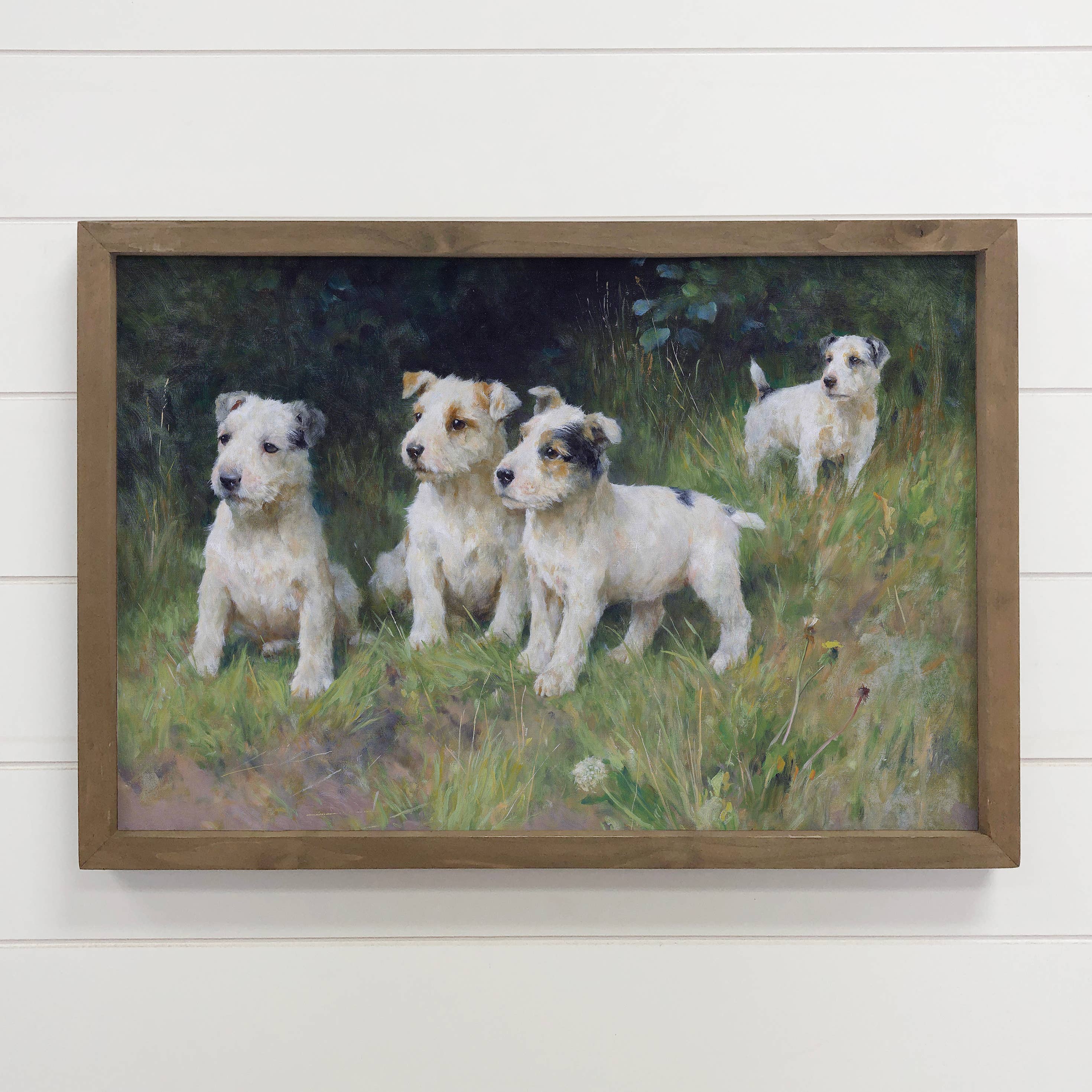Terrier Pups in Grass - Puppy Canvas Art - Wood Framed Art