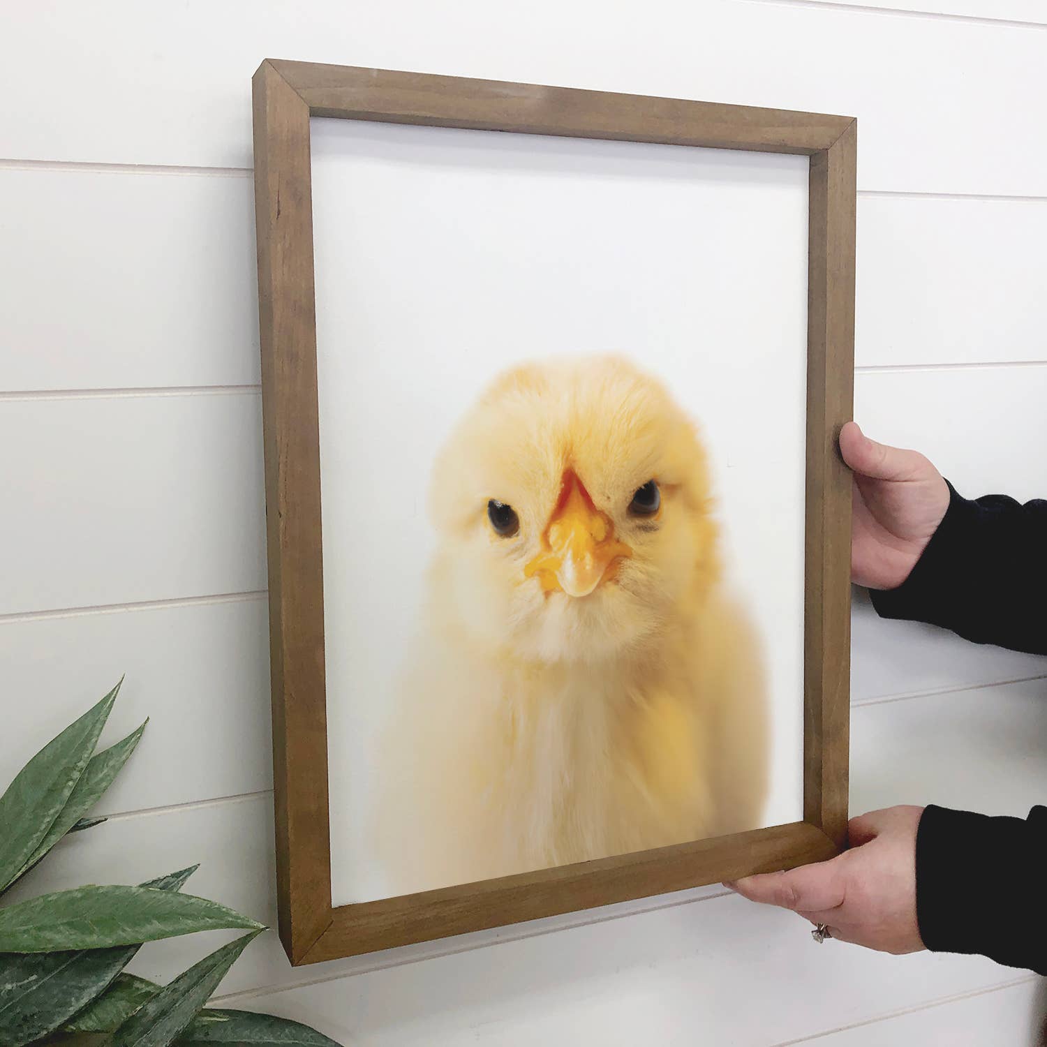 Baby Chicken Wood Farmhouse Sign Cute Animal Wall Art