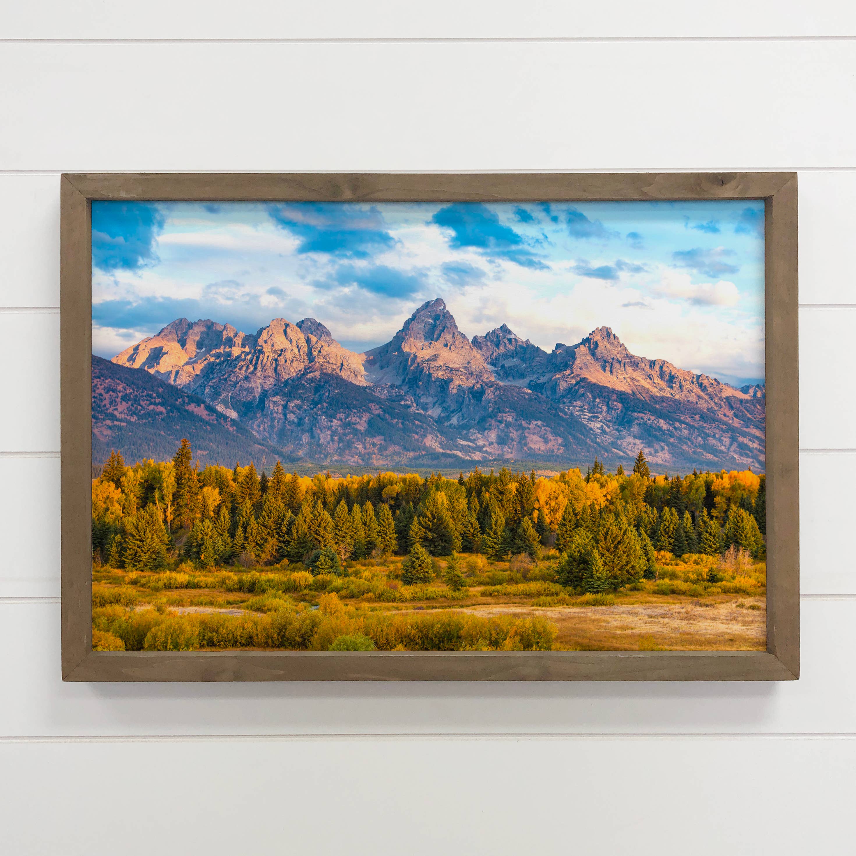 Grand Teton National Park View - Nature Canvas Art - Framed