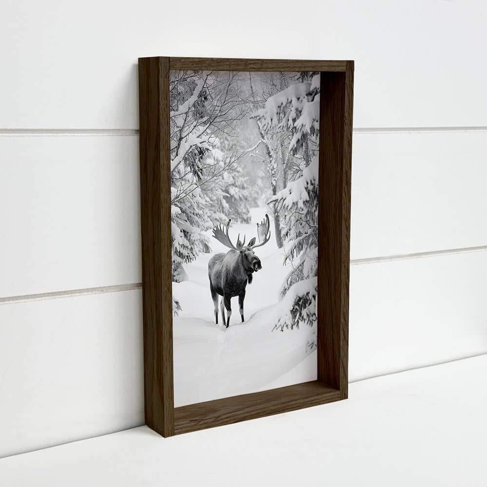 Moose in the Snow - Winter Animal Canvas Art - Wood Framed