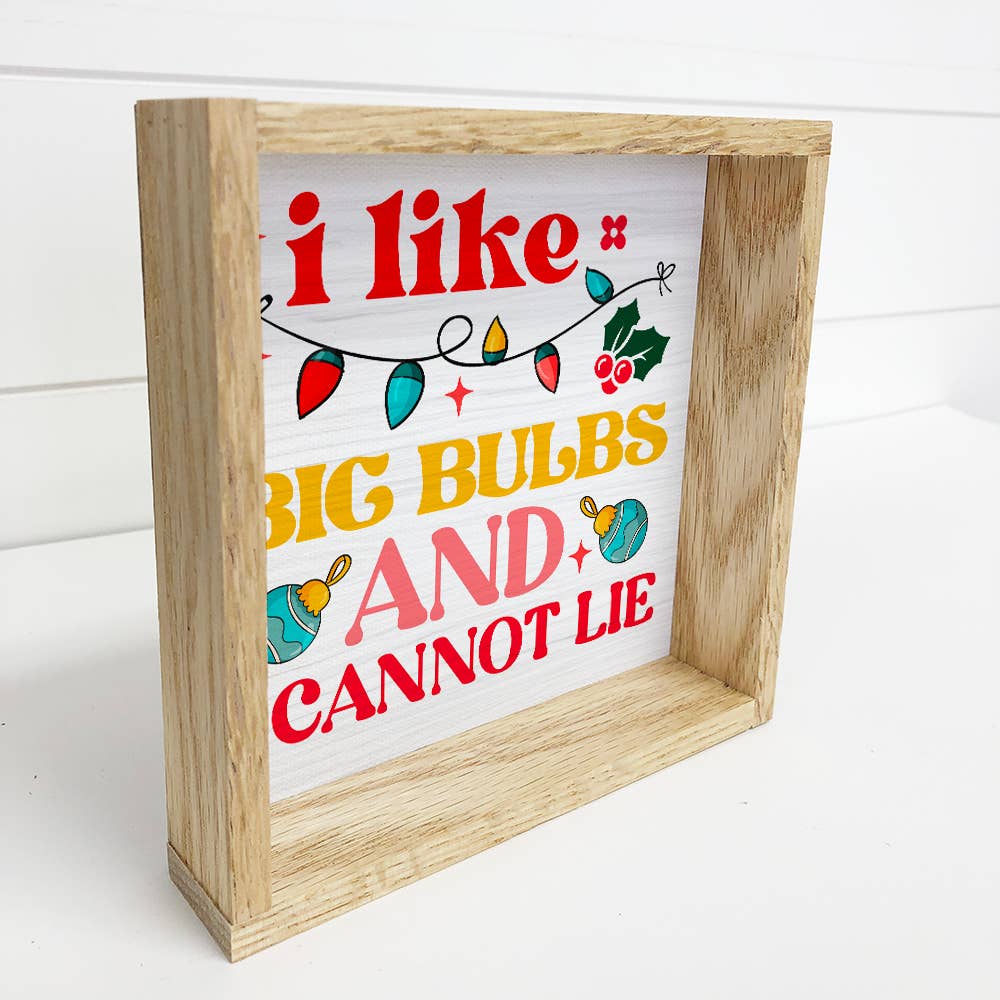 I Like Big Bulbs and I Cannot Lie - Christmas Canvas Sign